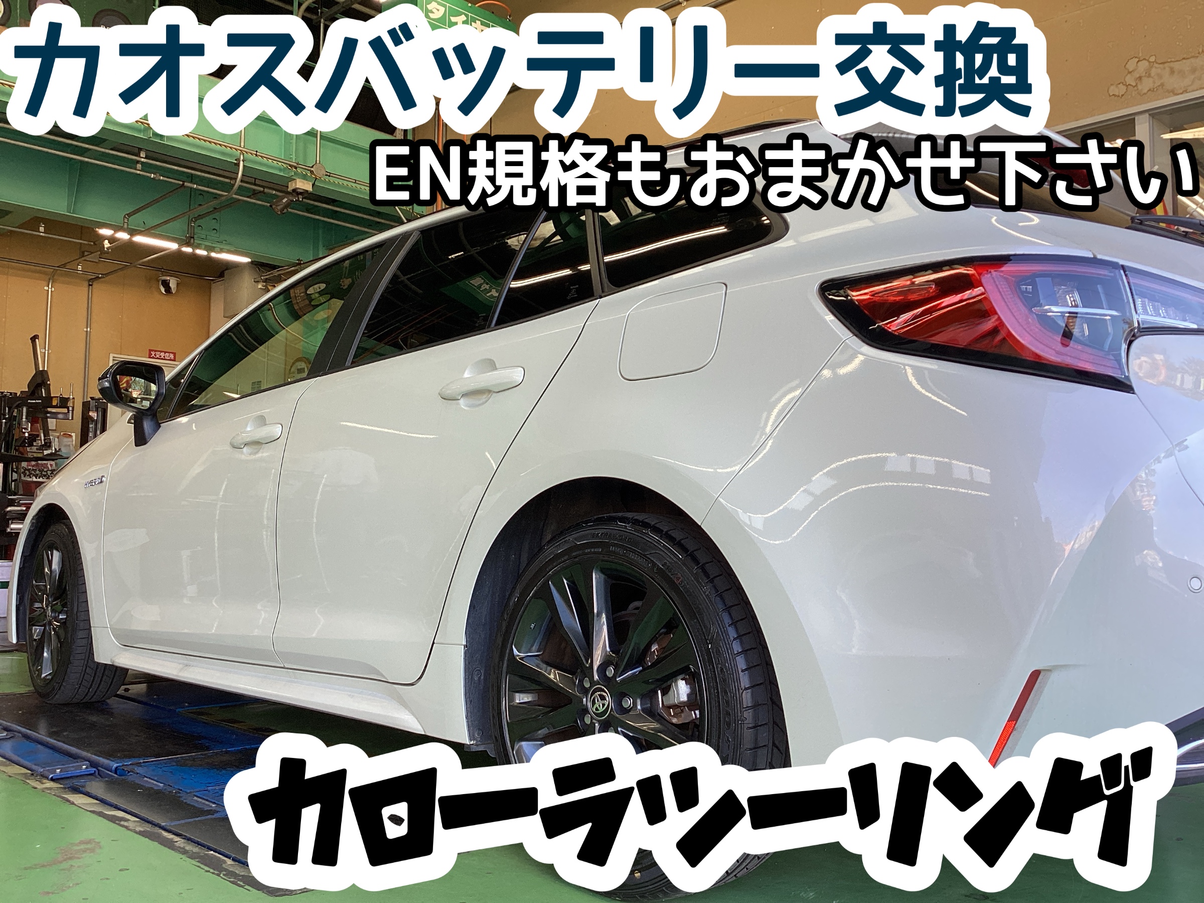 スタッフ撮影分