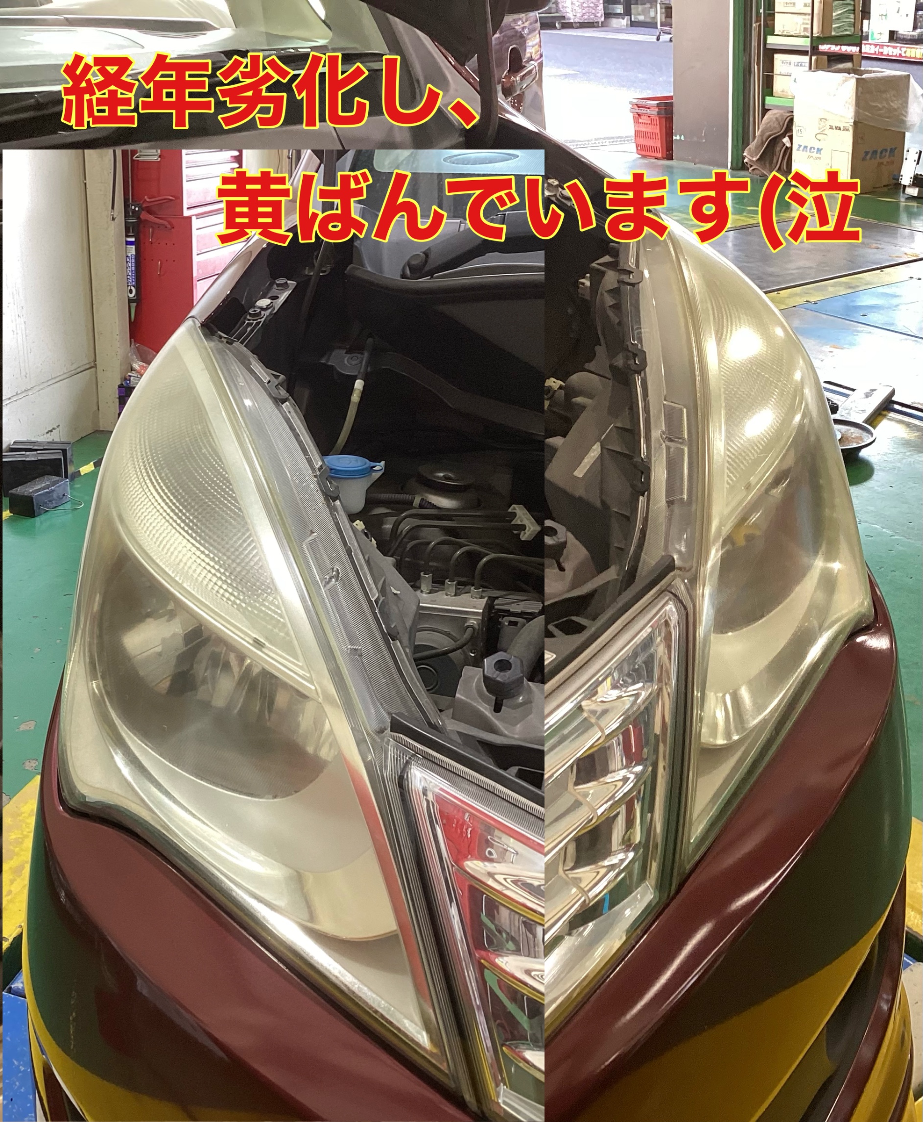 スタッフ撮影分です