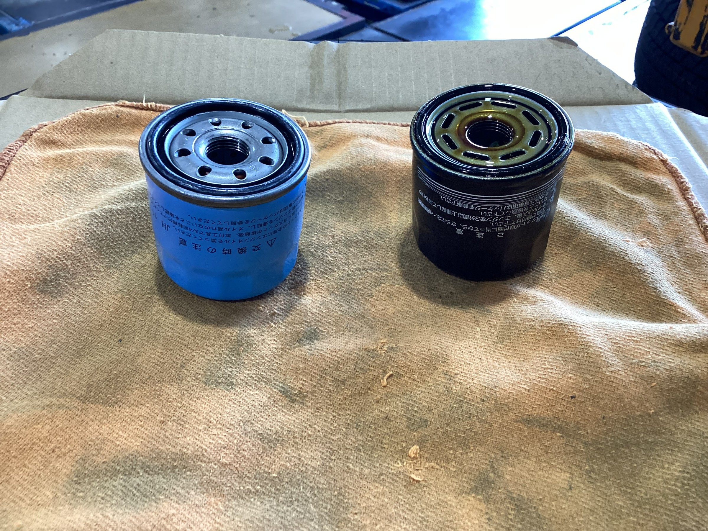 スタッフが撮影した画像です
