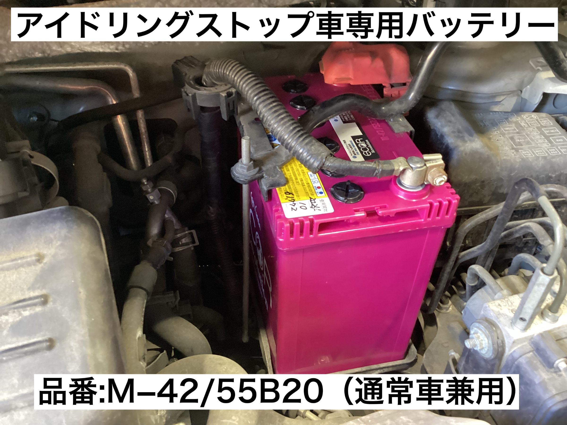 スタッフが撮影