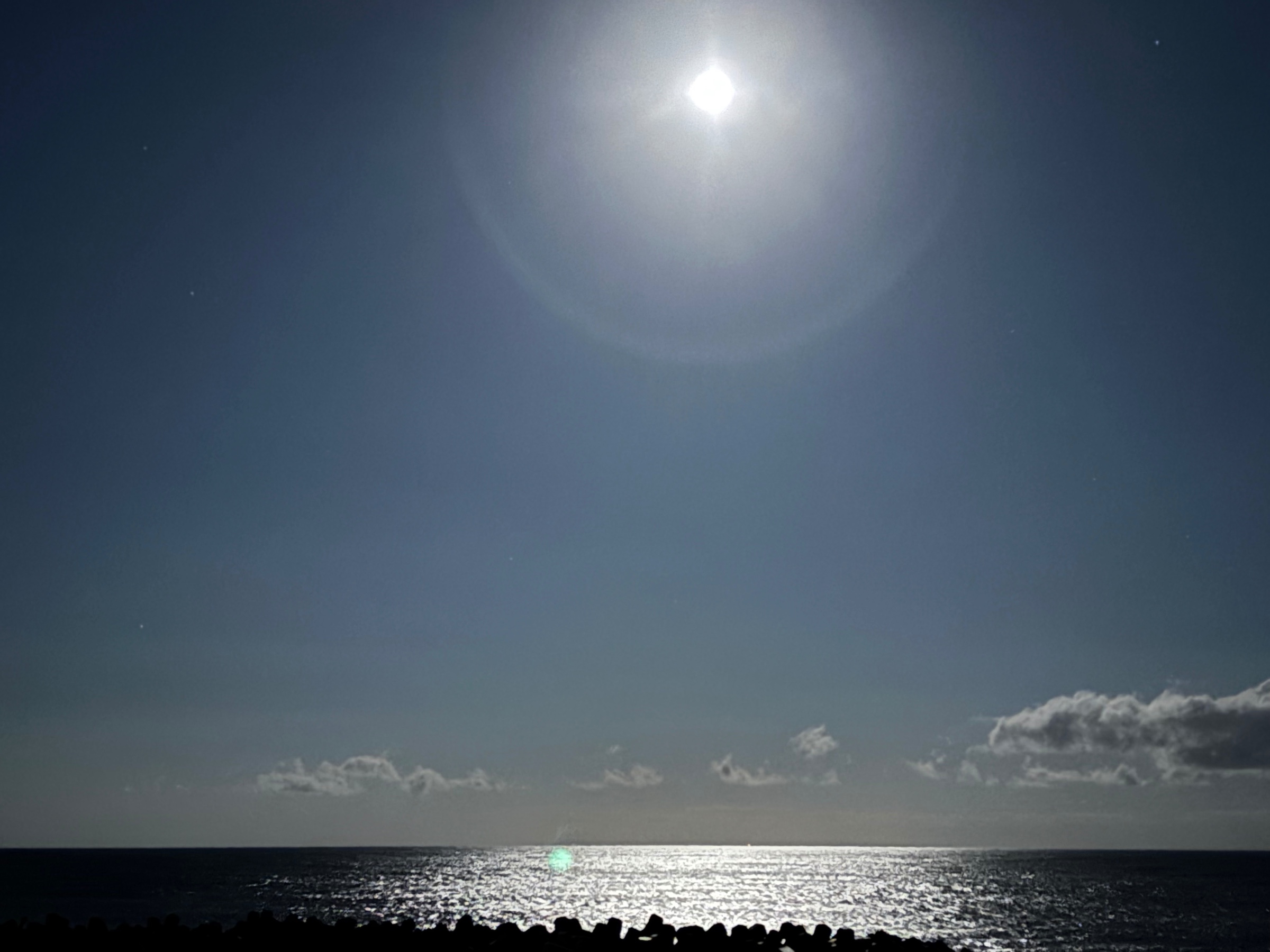 スタッフ撮影です。