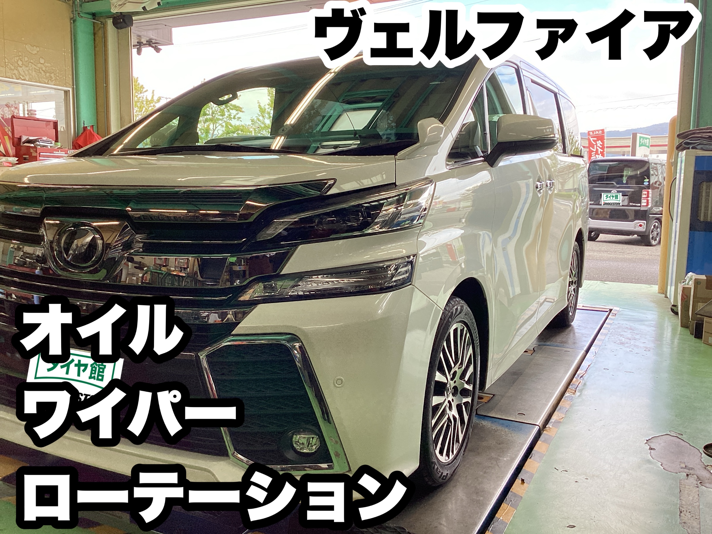 スタッフ撮影分