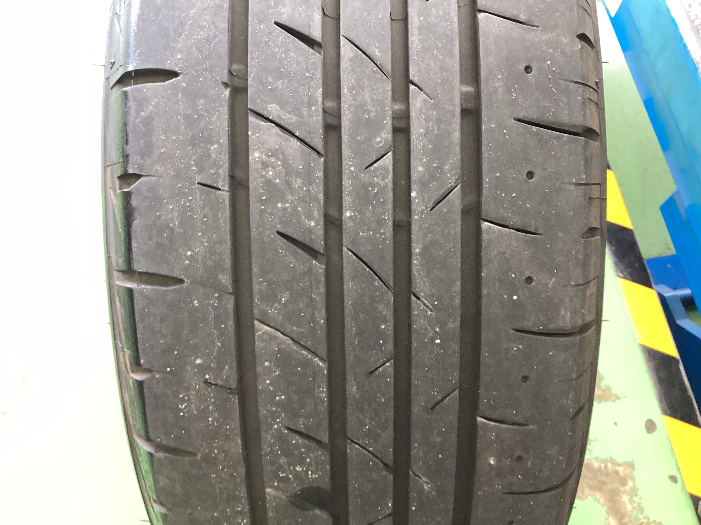 スタッフ撮影分