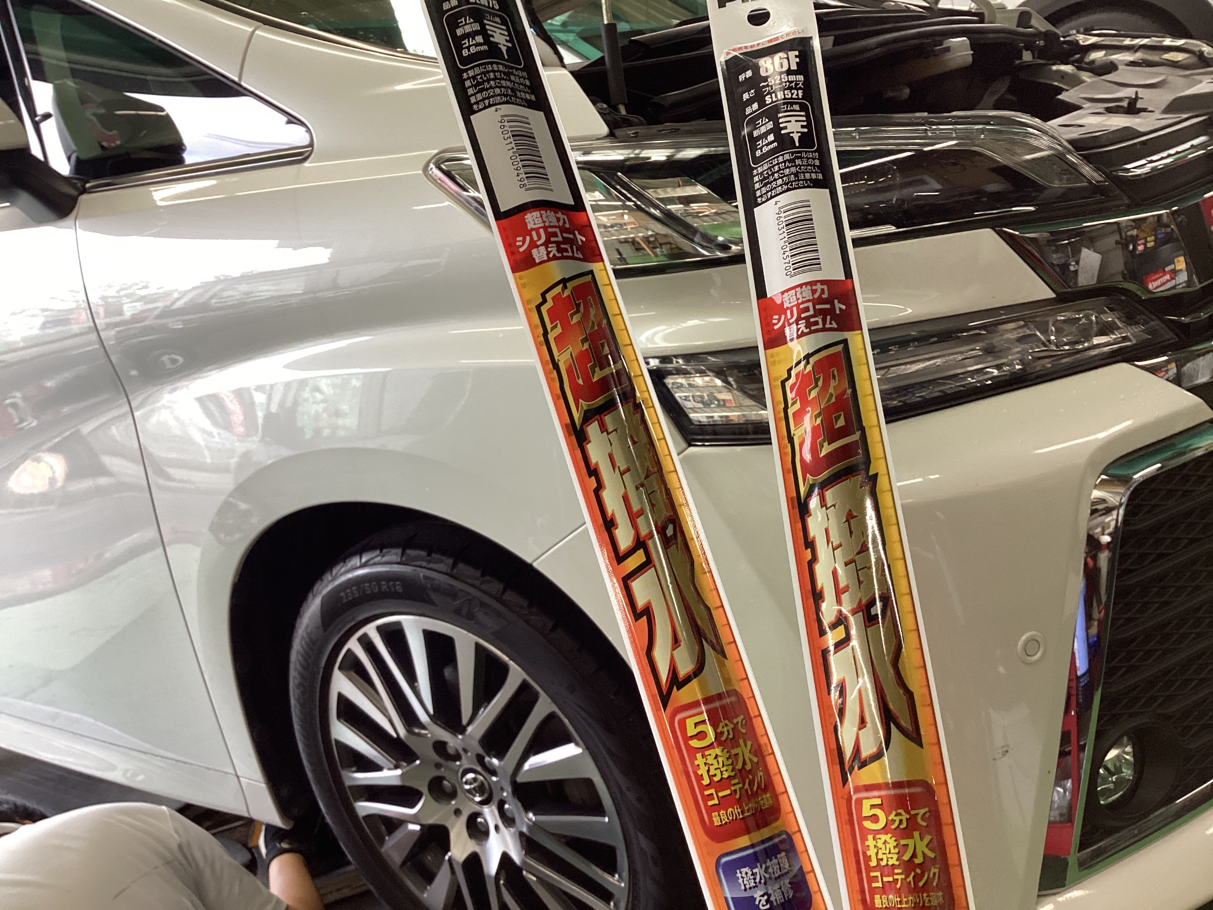 スタッフ撮影分