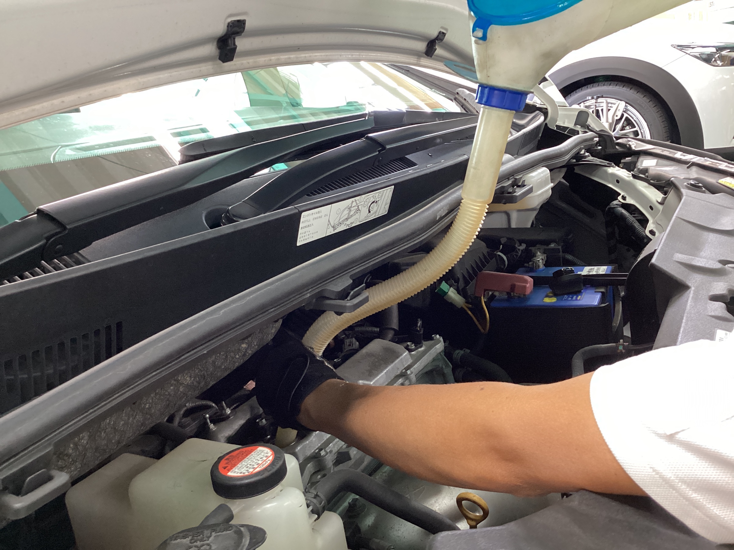 スタッフ撮影分