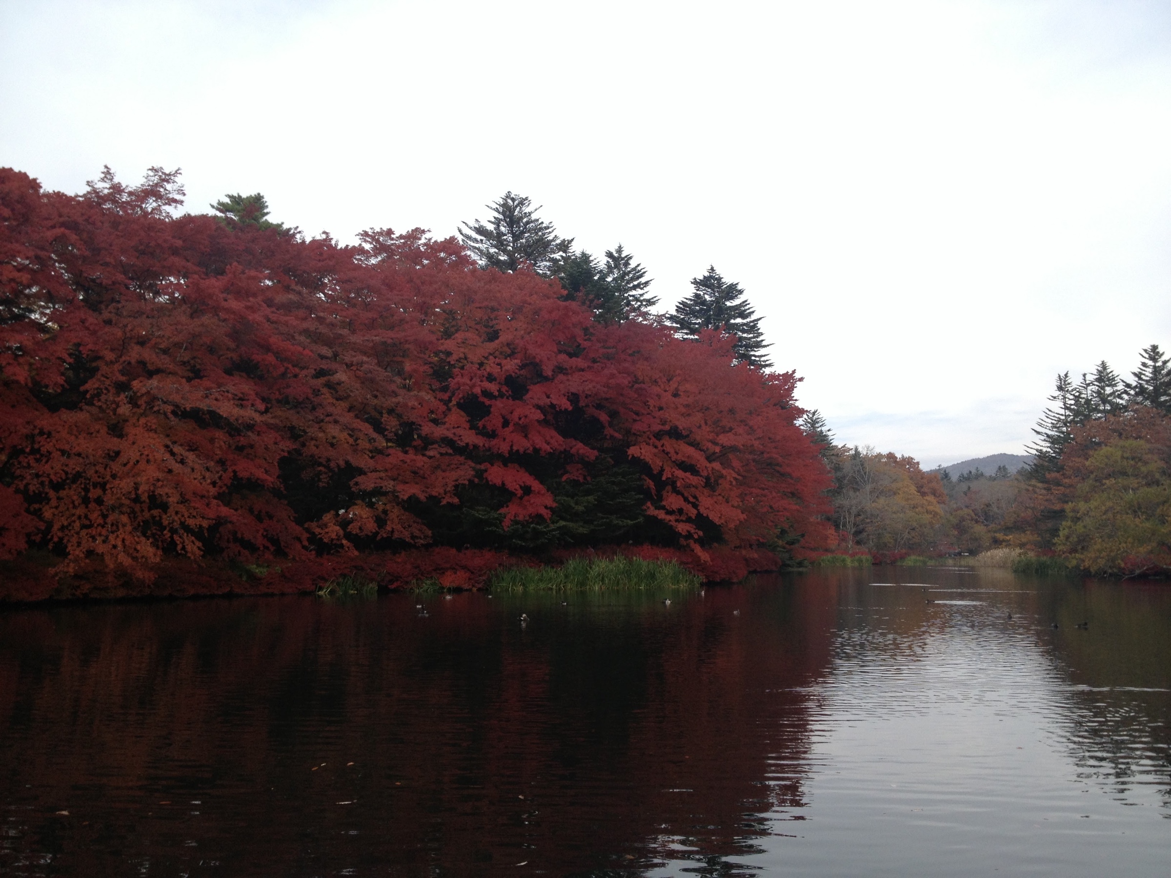 スタッフ撮影分です