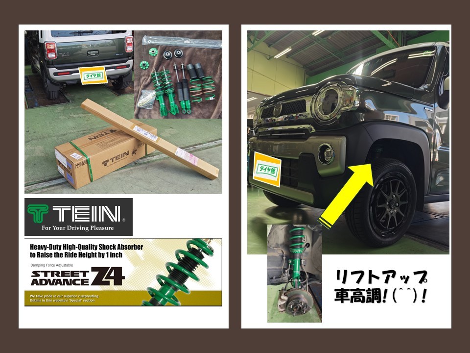 TEIN