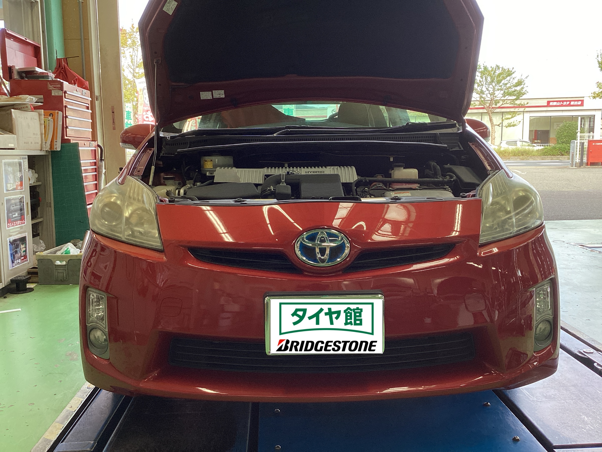 スタッフ撮影分