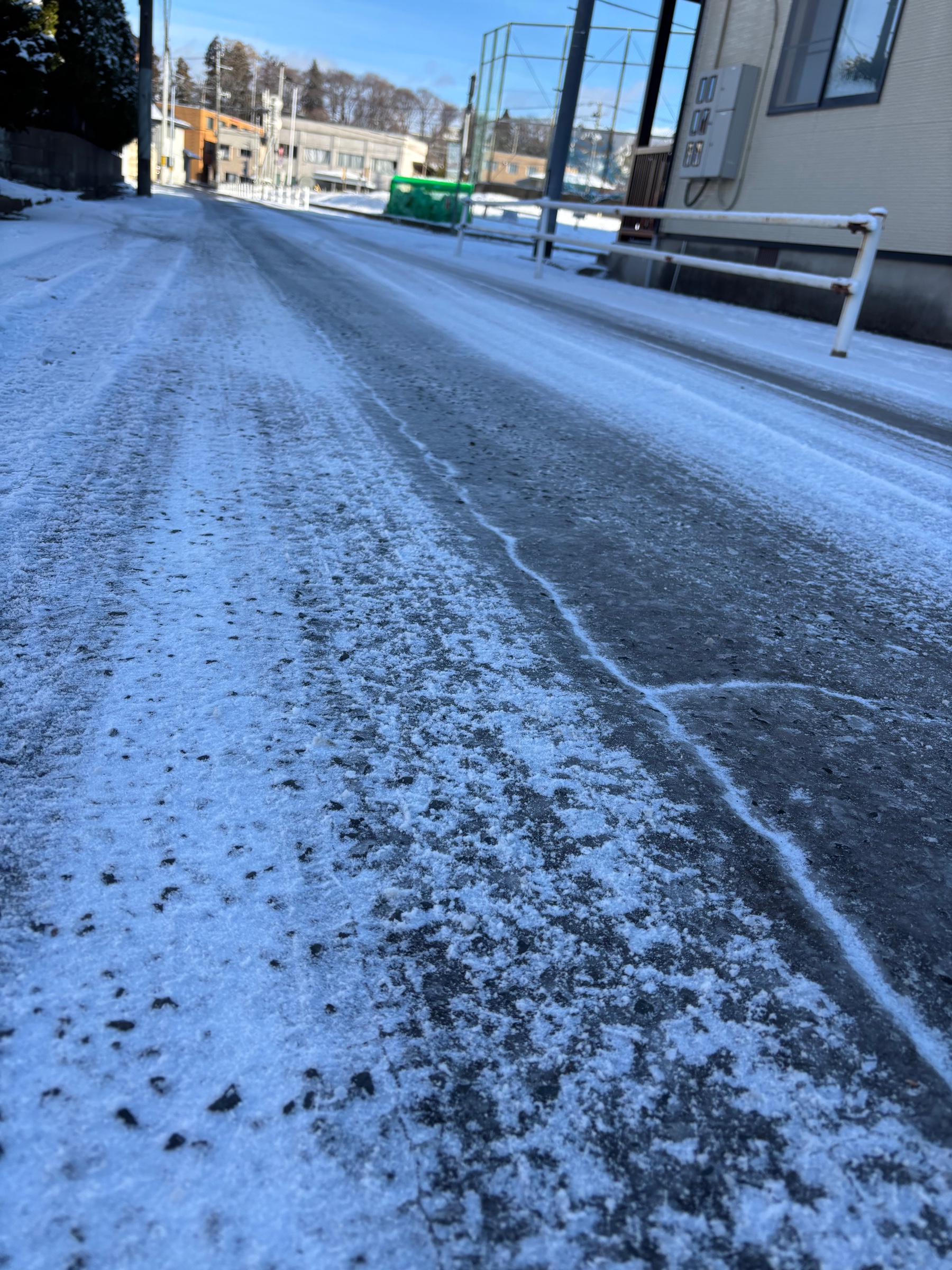 スタッフ撮影です