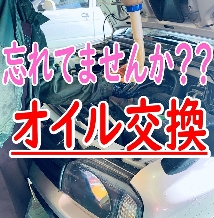 スタッフが撮影加工した画像
