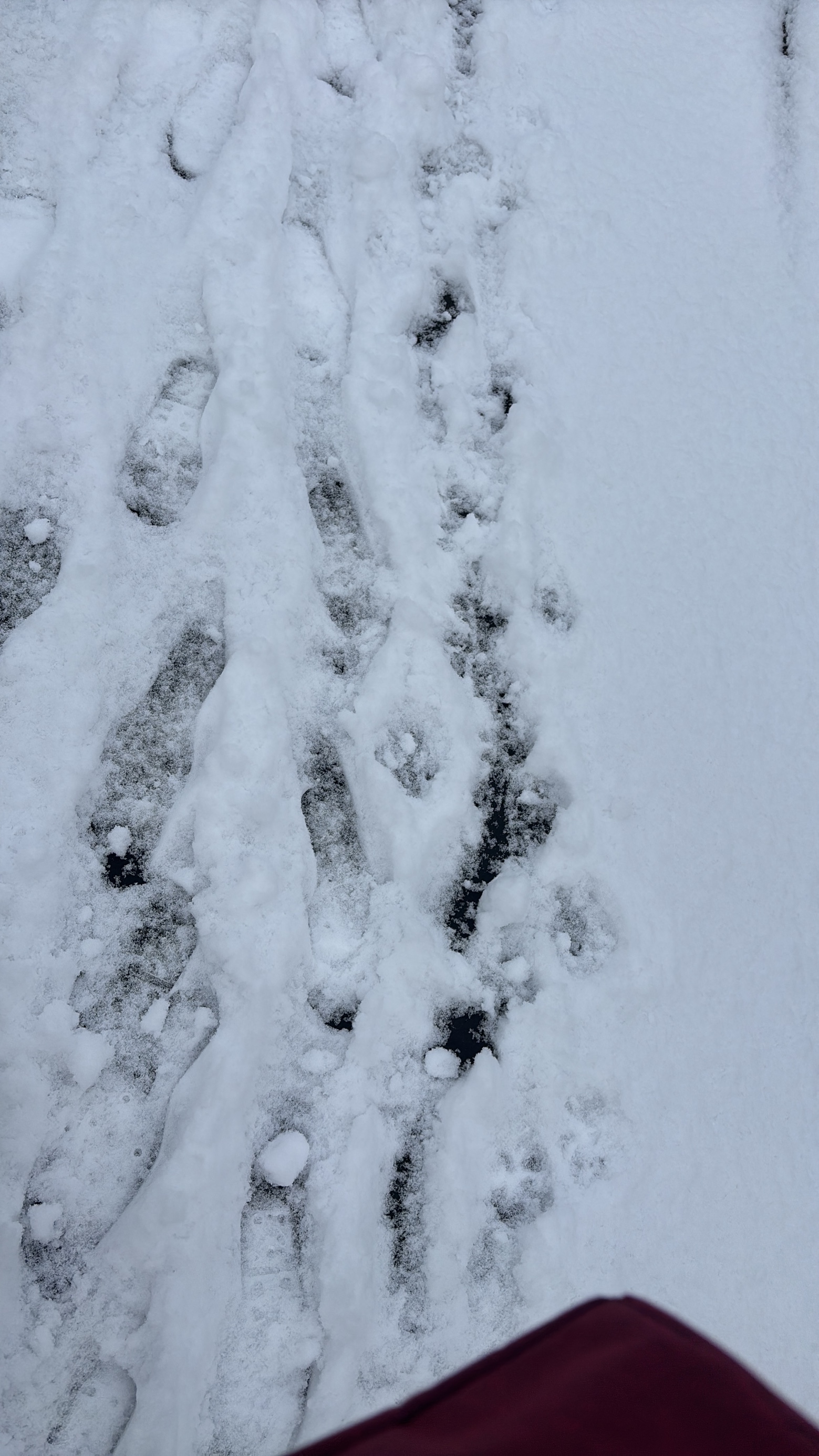 スタッフ撮影です。