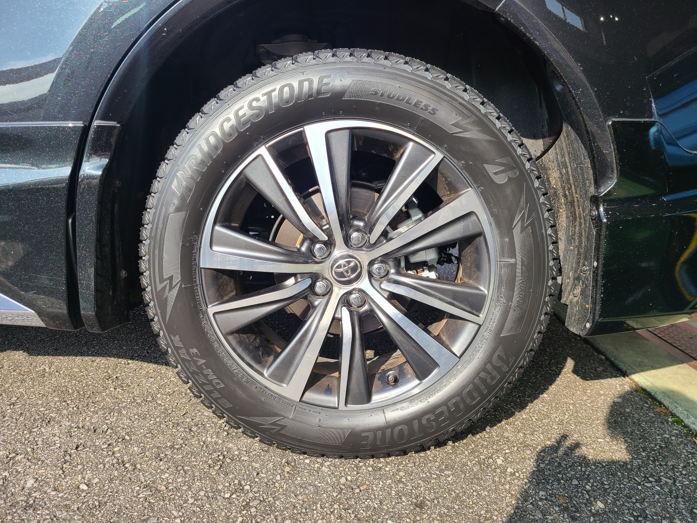 スタッフが撮影しました。