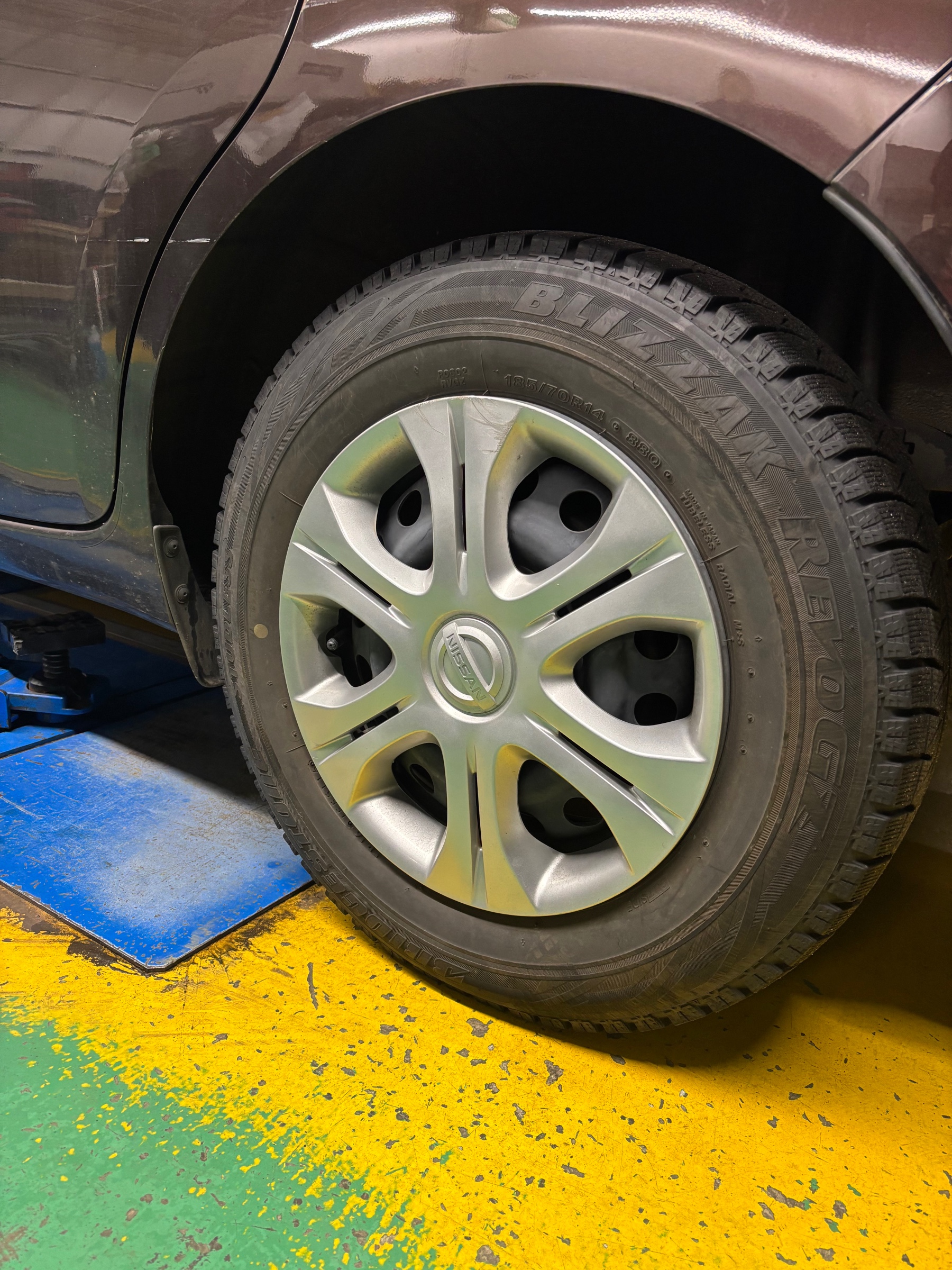 スタッフ撮影です。