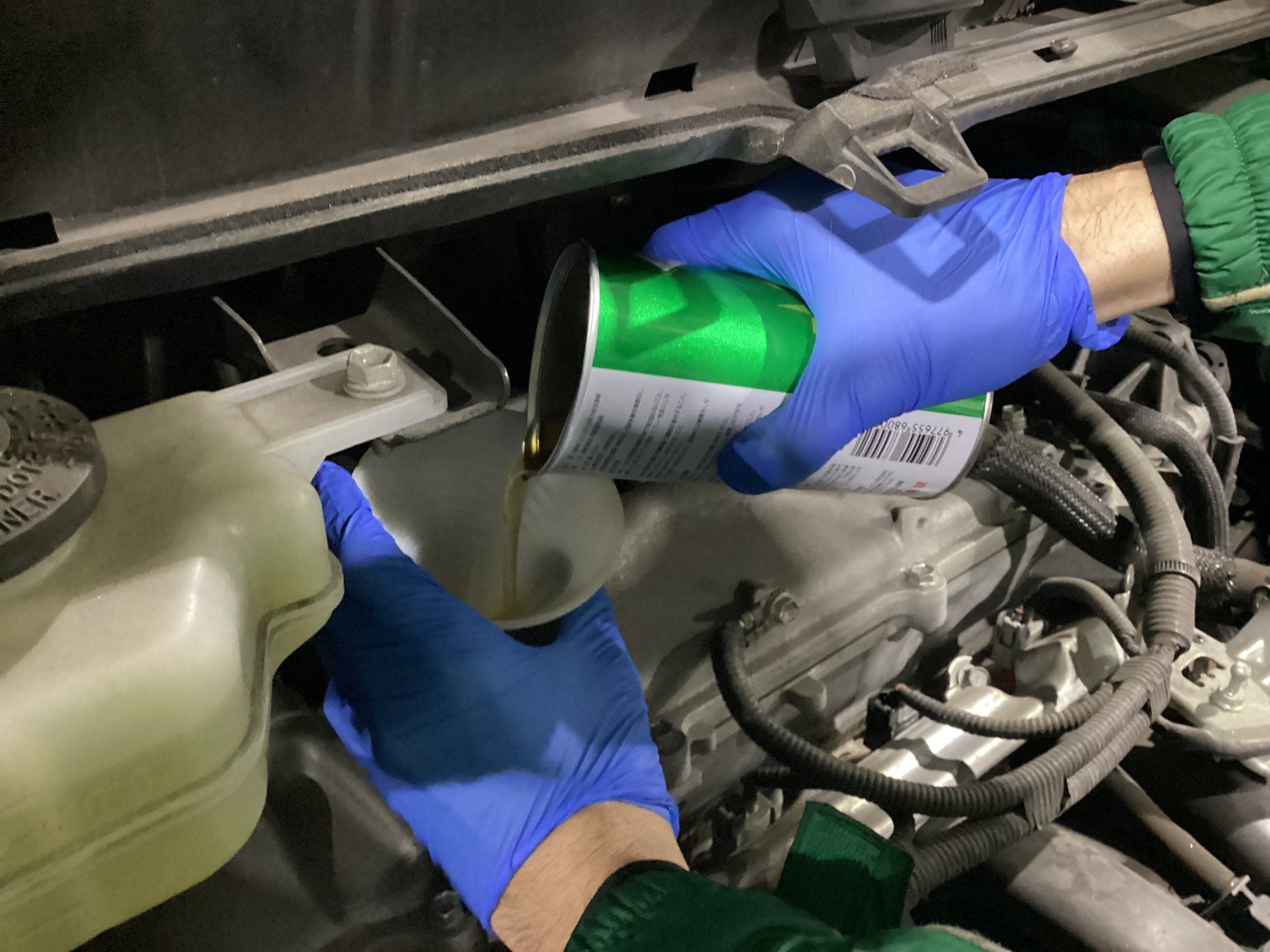 スタッフが撮影した画像です