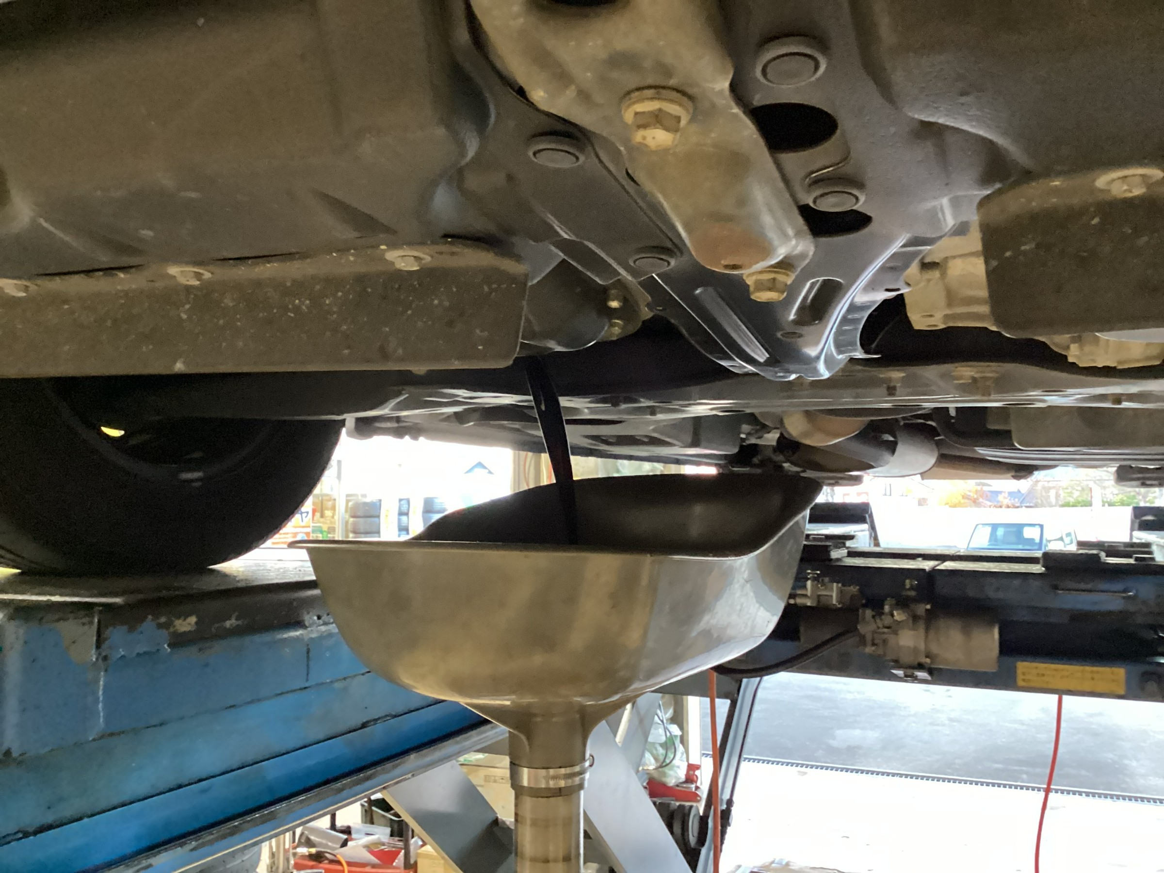 スタッフが撮影した画像です