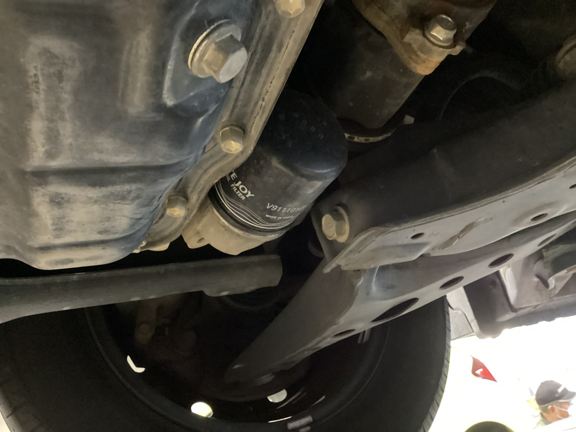 スタッフが撮影した画像です