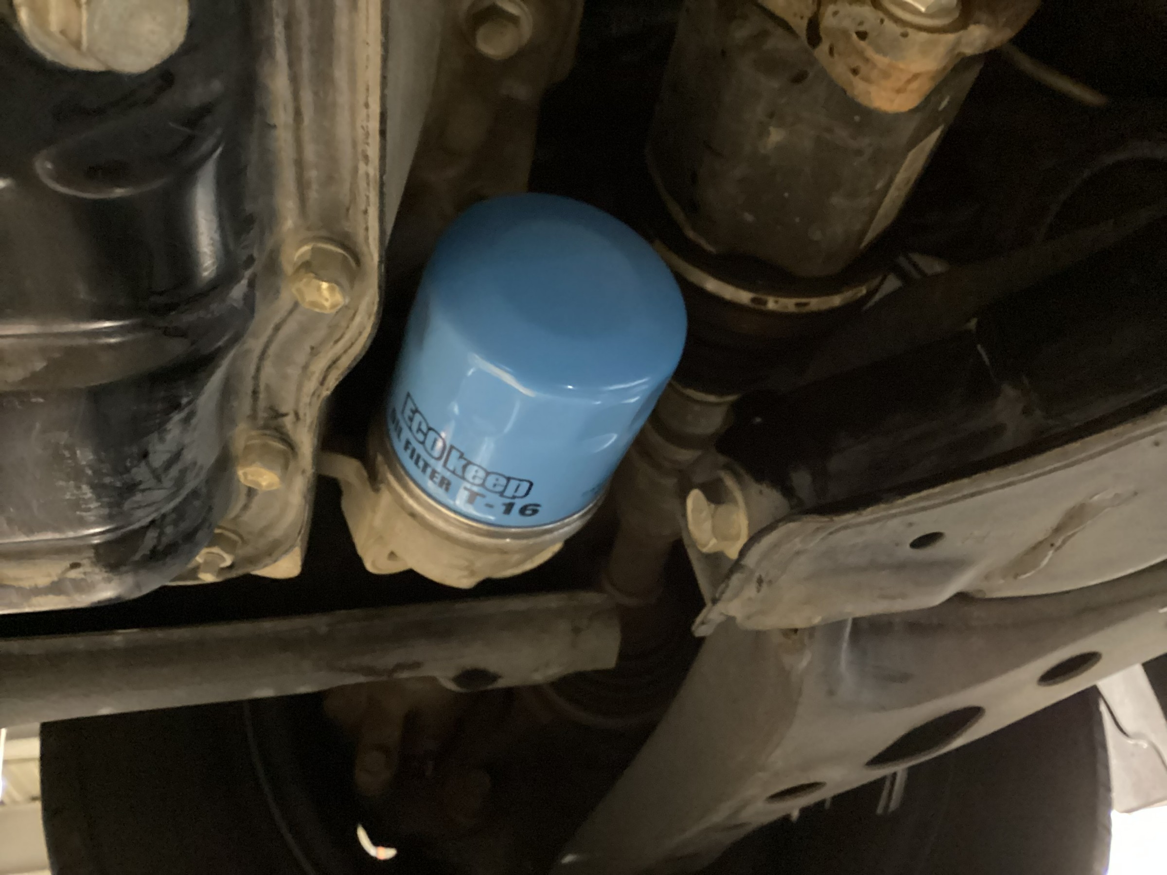 スタッフが撮影した画像です