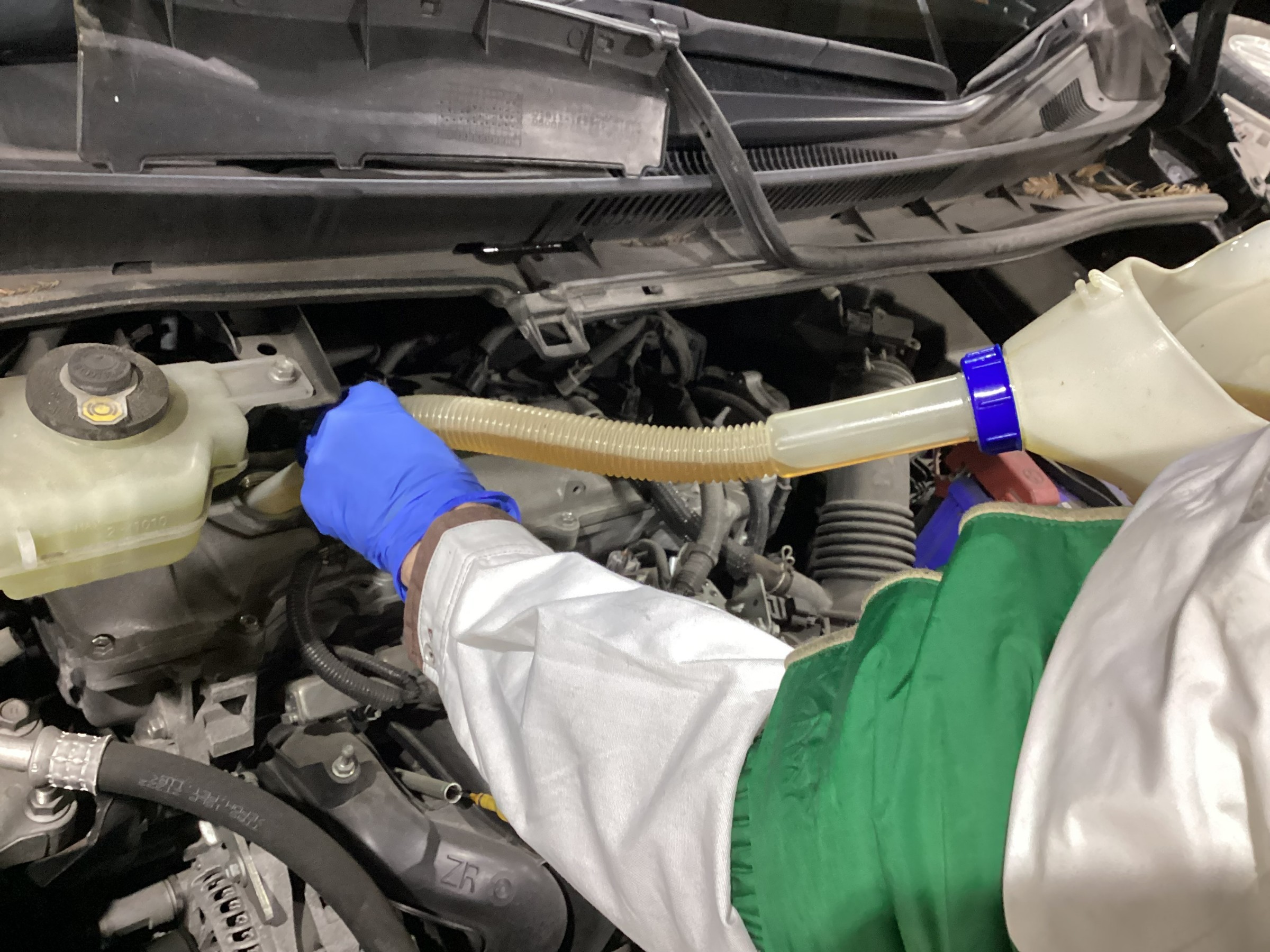 スタッフが撮影した画像です