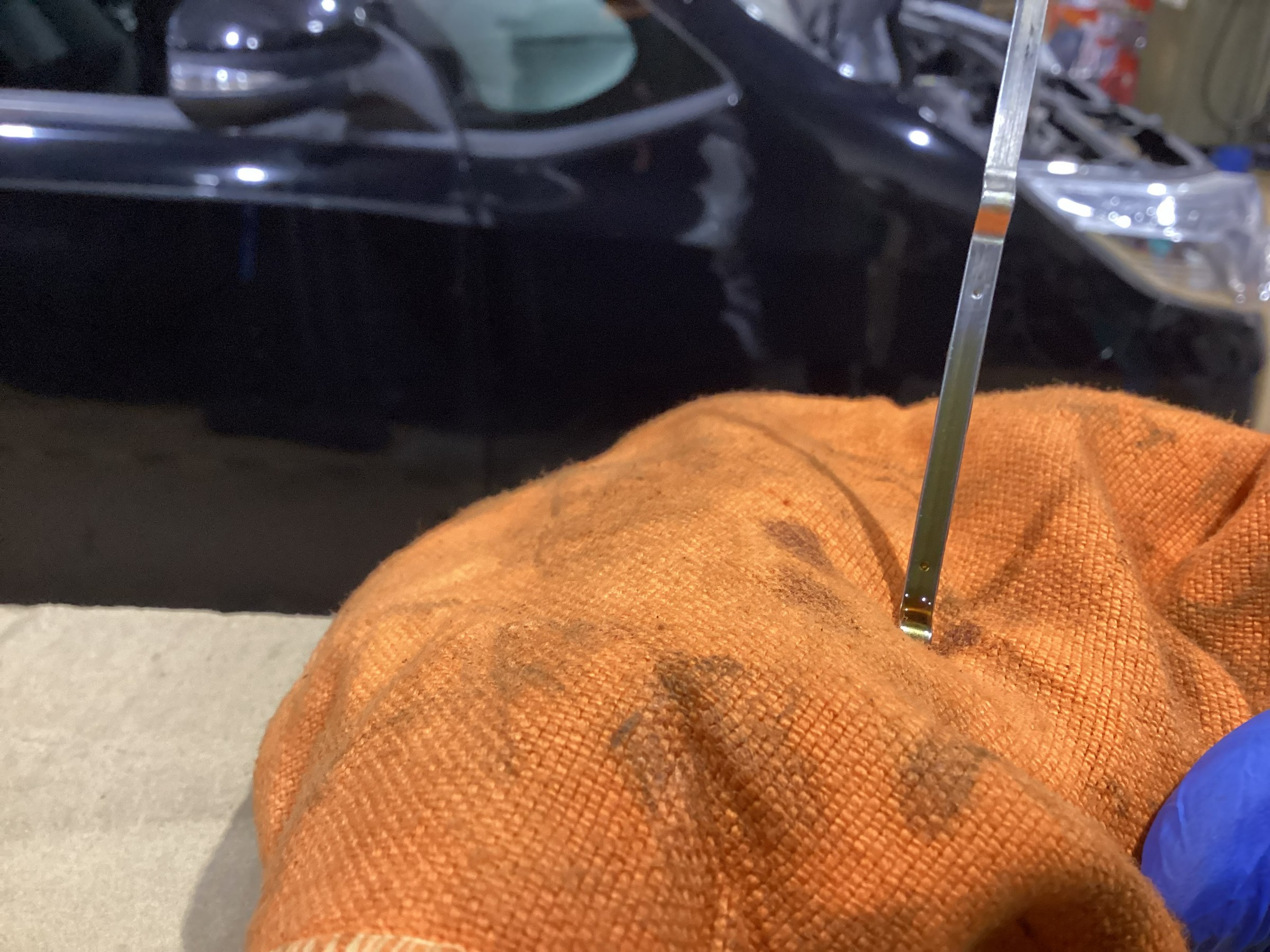 スタッフが撮影した画像です