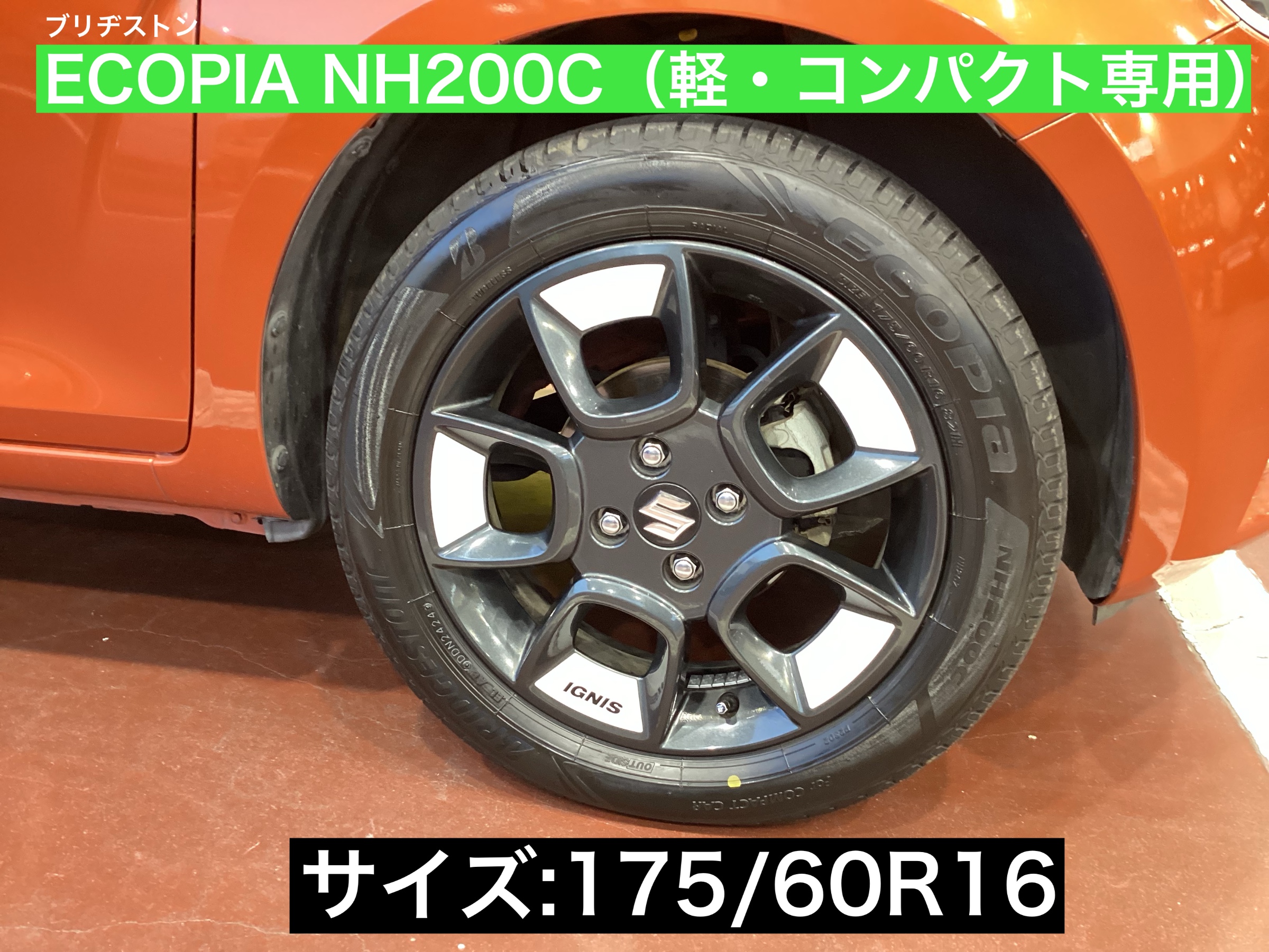 スタッフが撮影