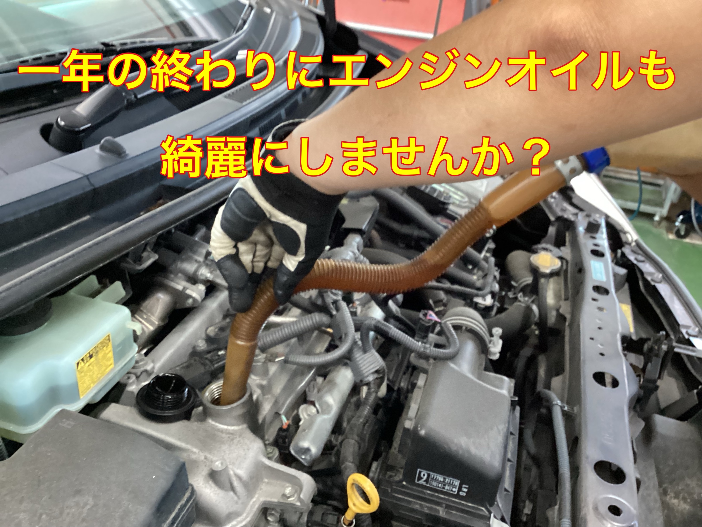 スタッフ撮影。無料画像編集アプリにて編集。