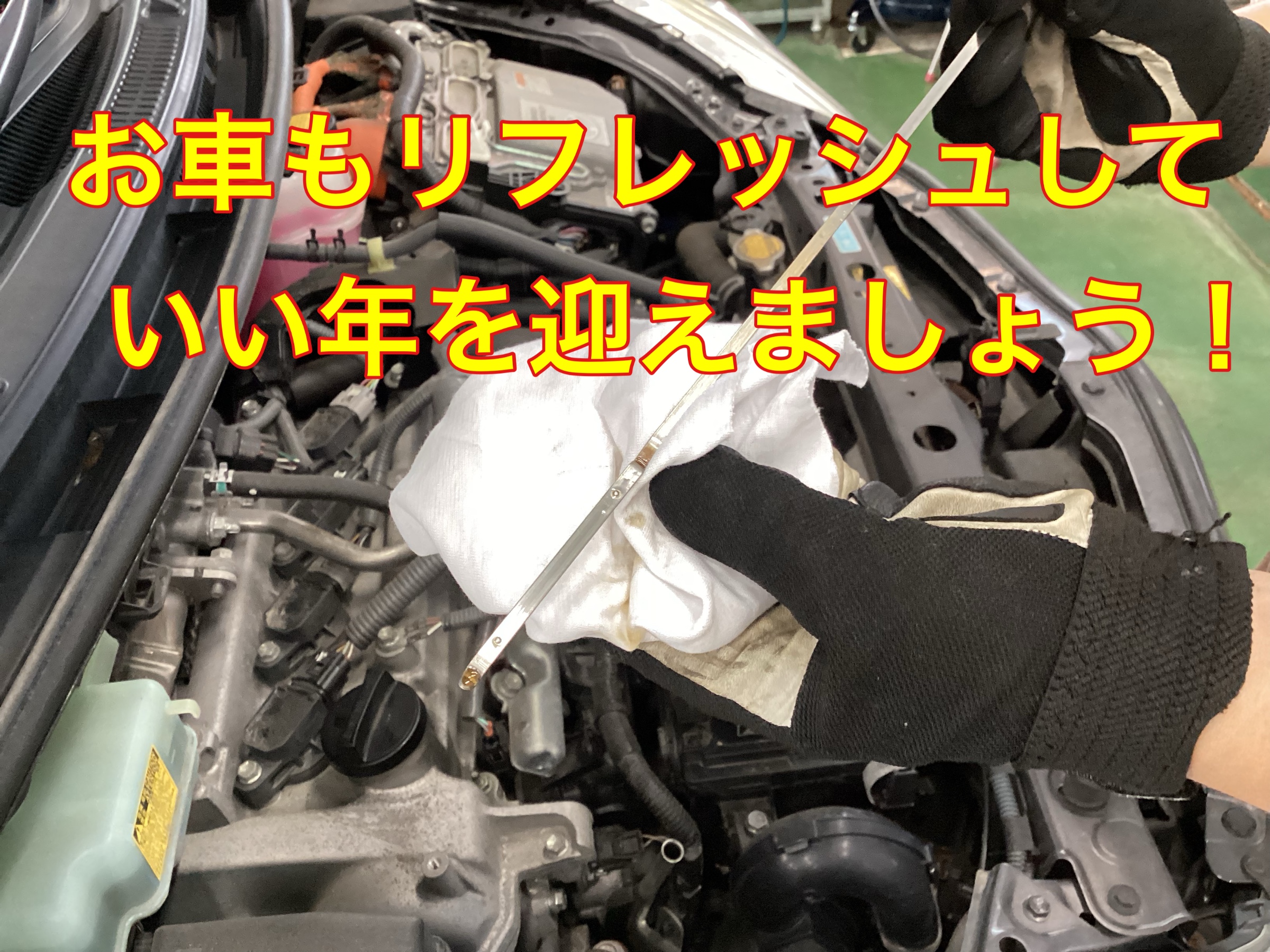 スタッフ撮影。無料画像編集アプリにて編集。