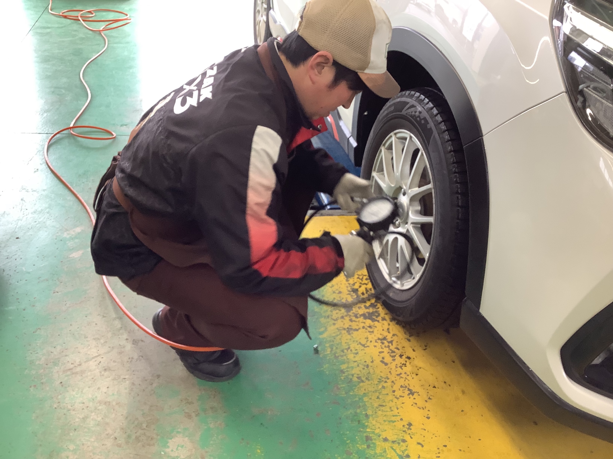 スタッフ撮影です。