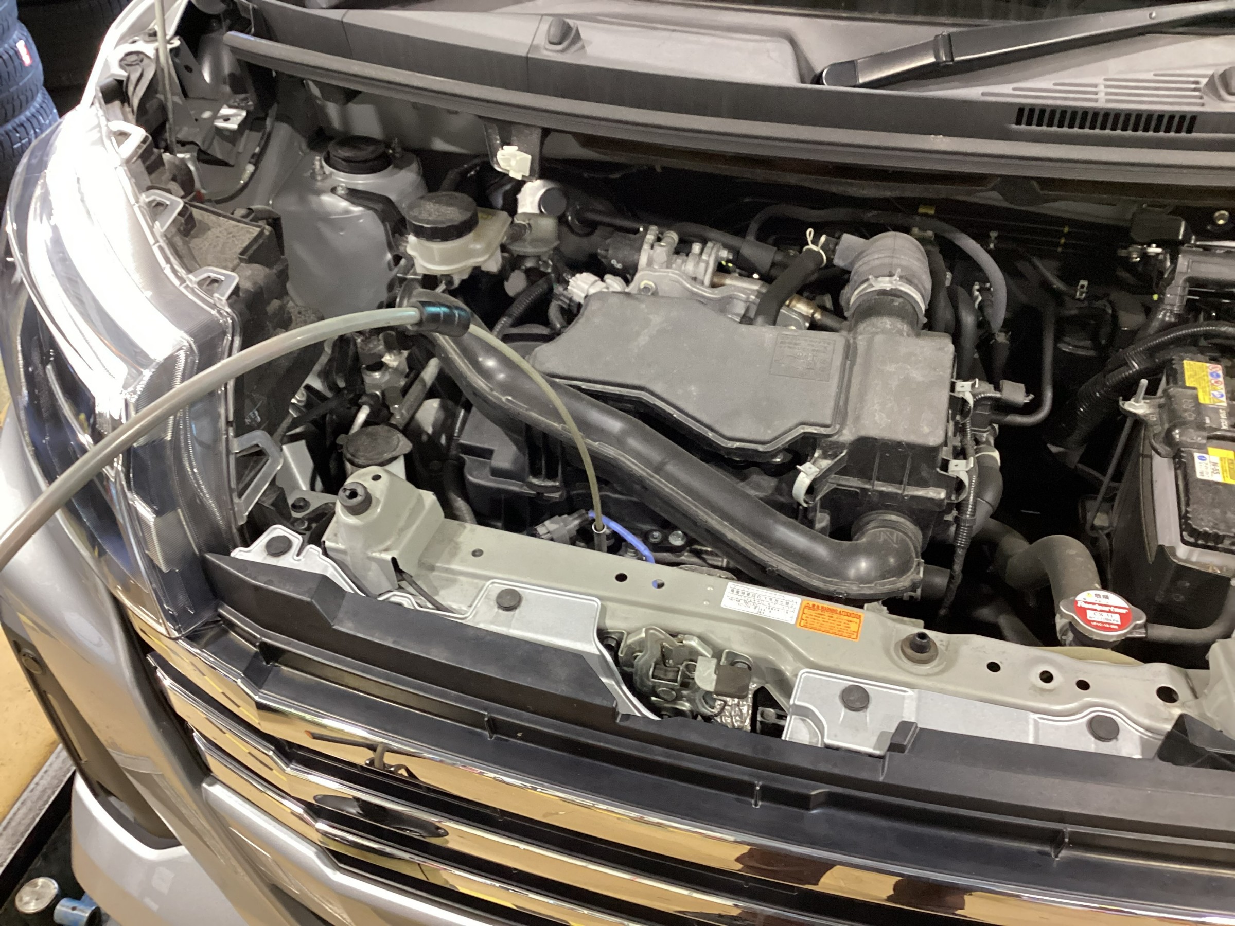 スタッフが撮影した画像です。