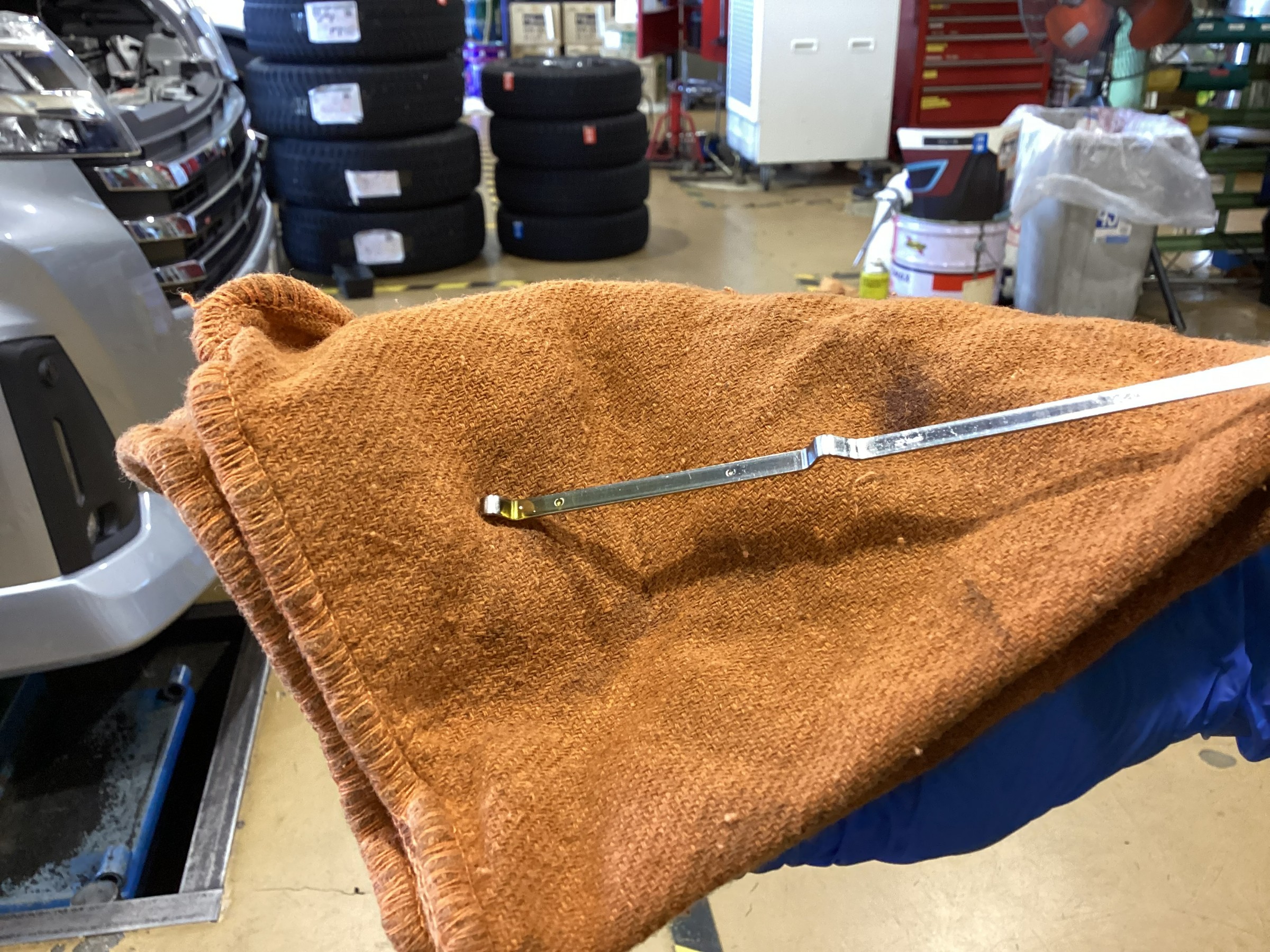 スタッフが撮影した画像です