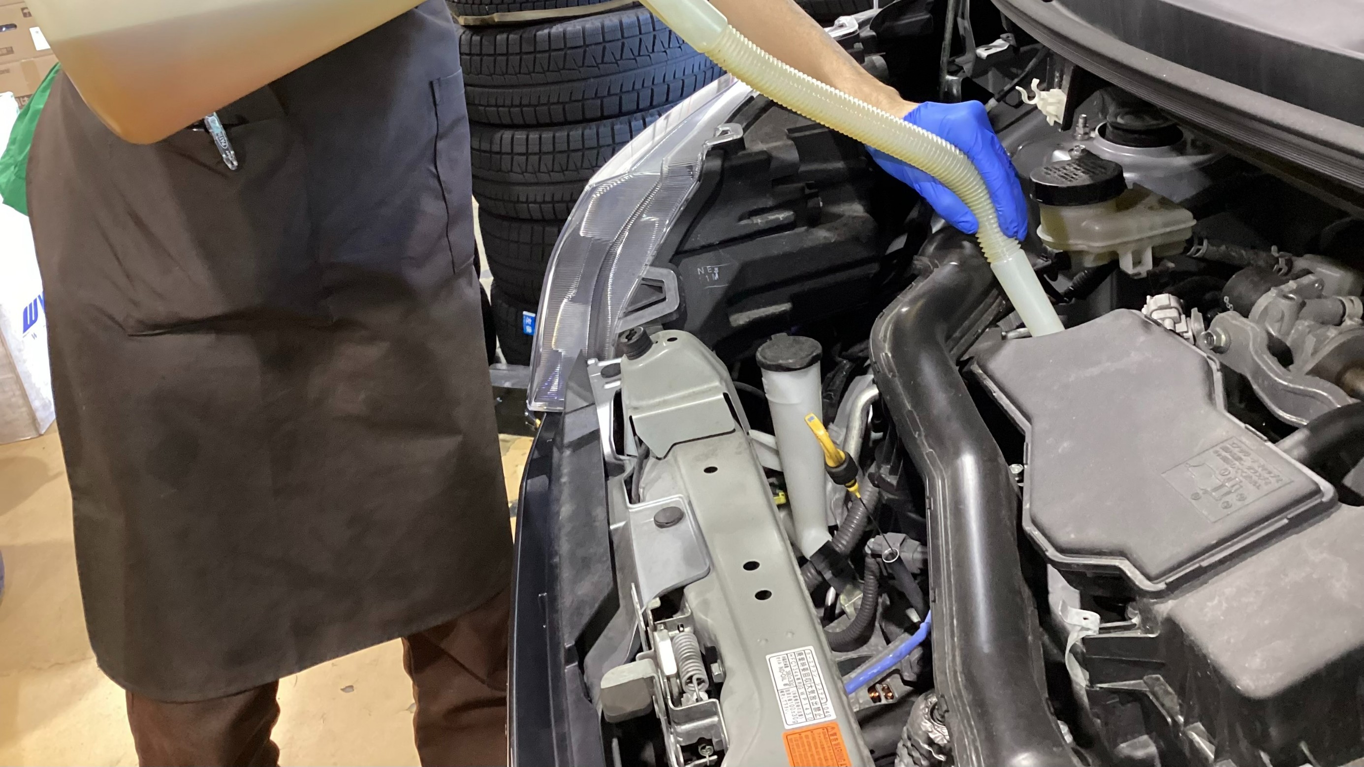 スタッフが撮影した画像です