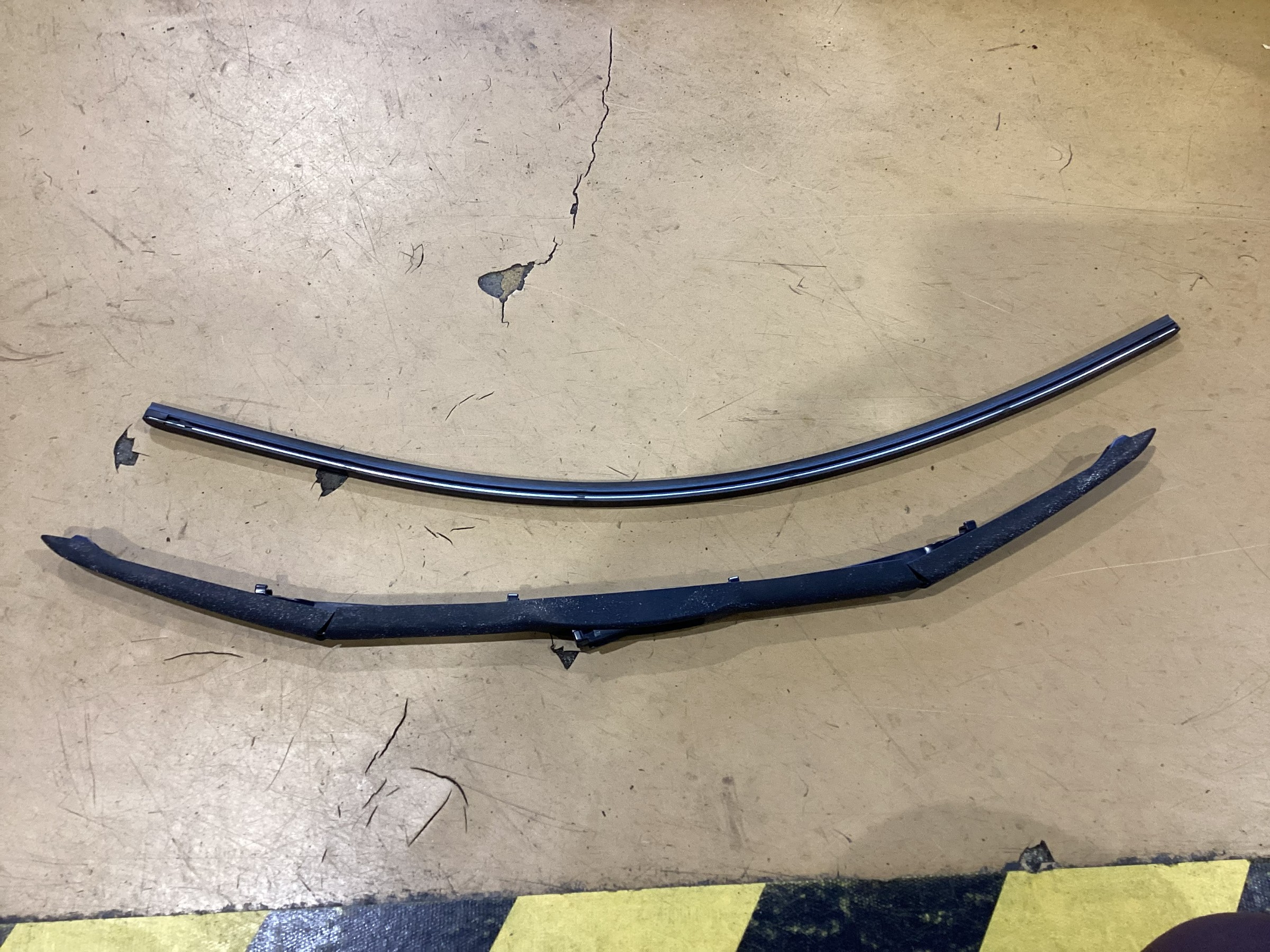 スタッフが撮影した画像です