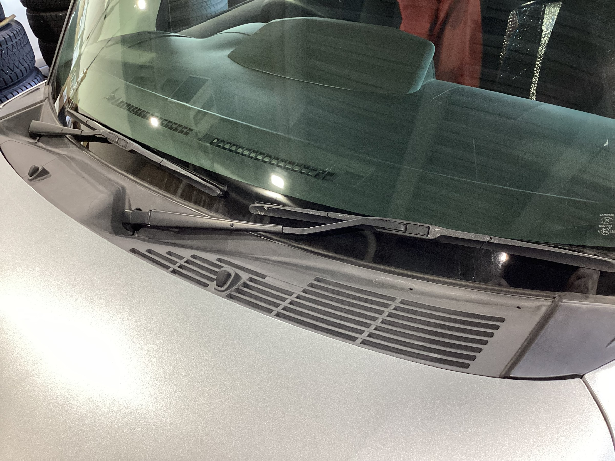 スタッフが撮影した画像です