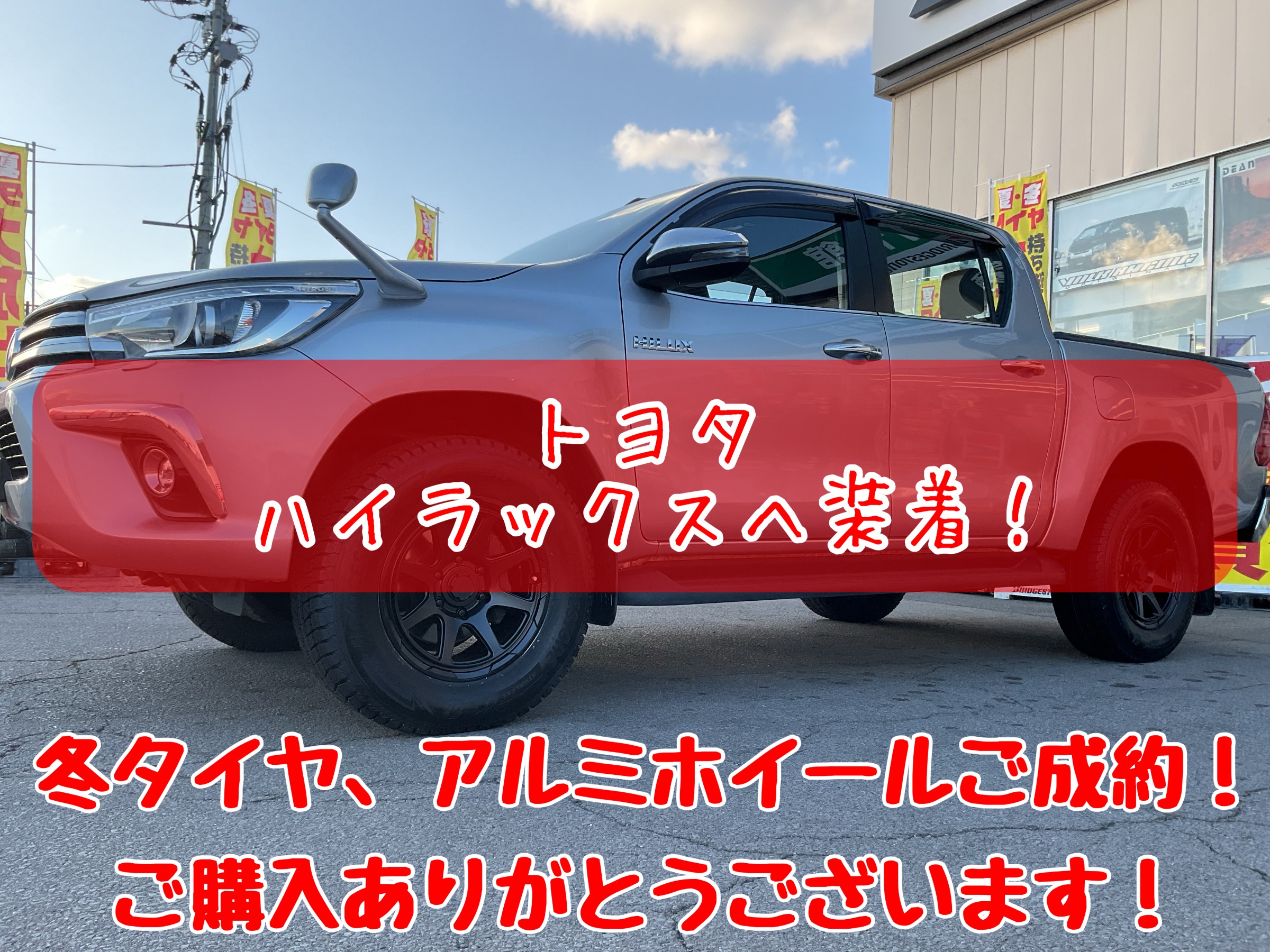 スタッフが撮影加工した画像