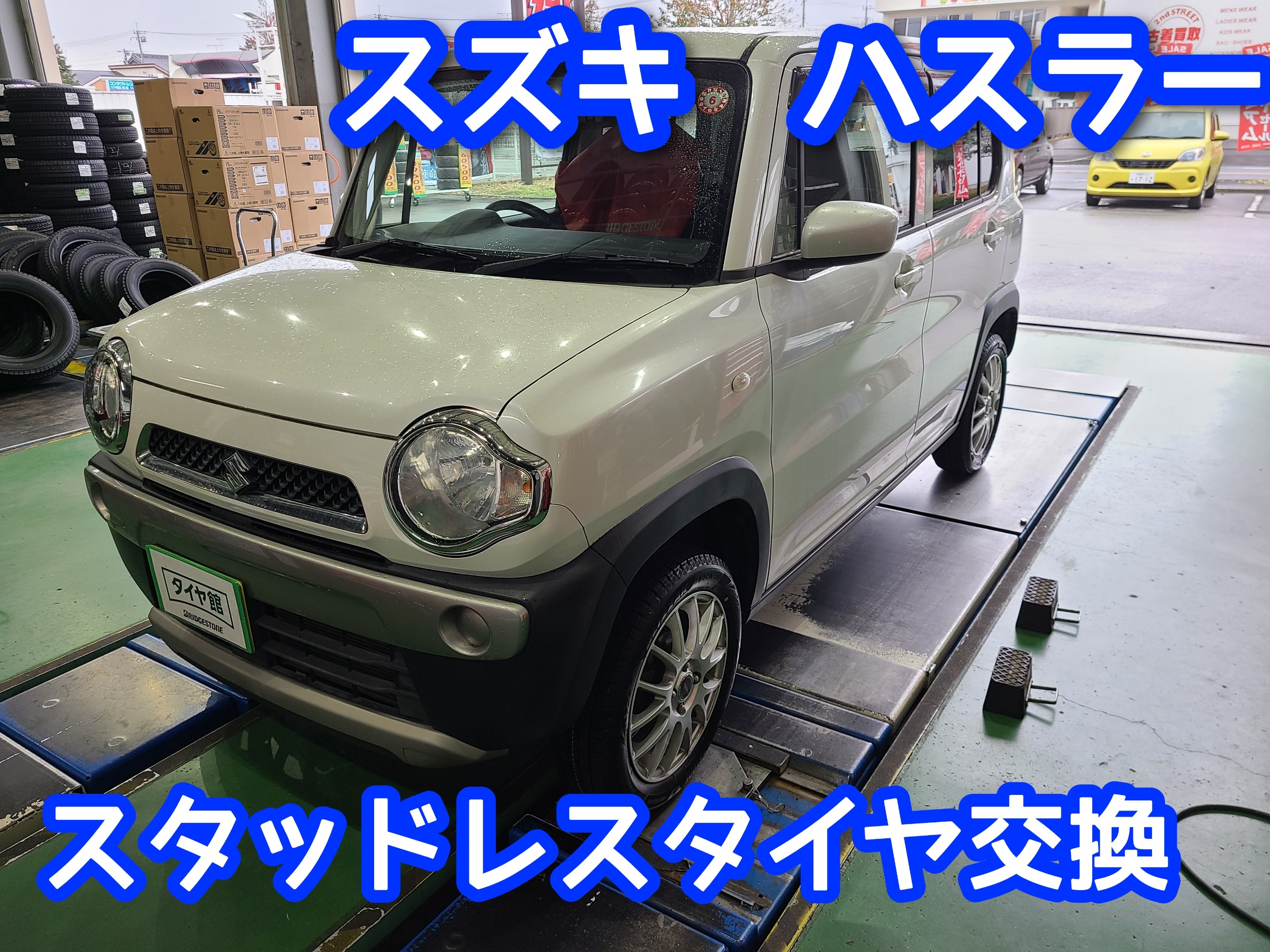 スタッフが撮影しました。