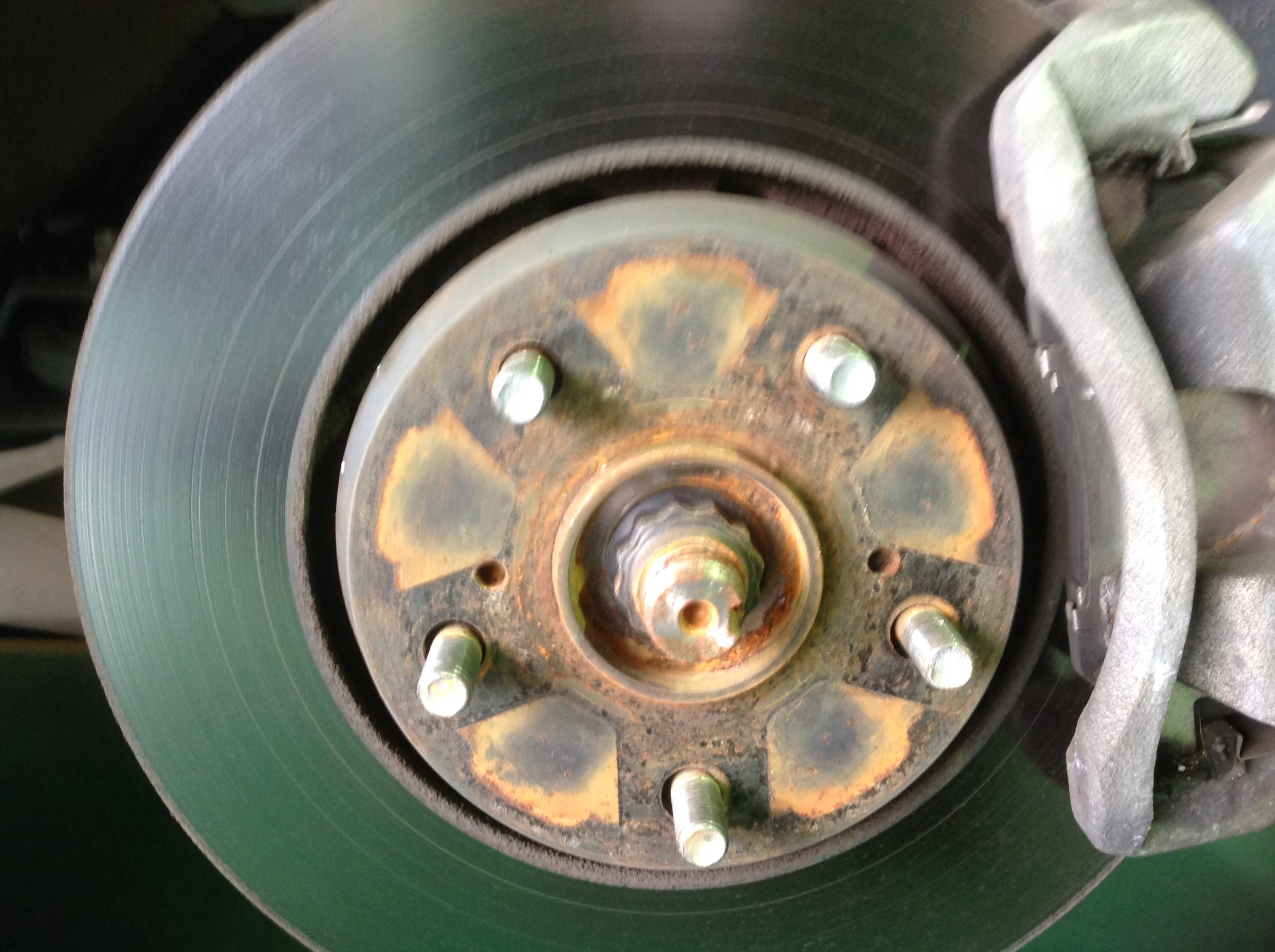 さ、桜型・・・？