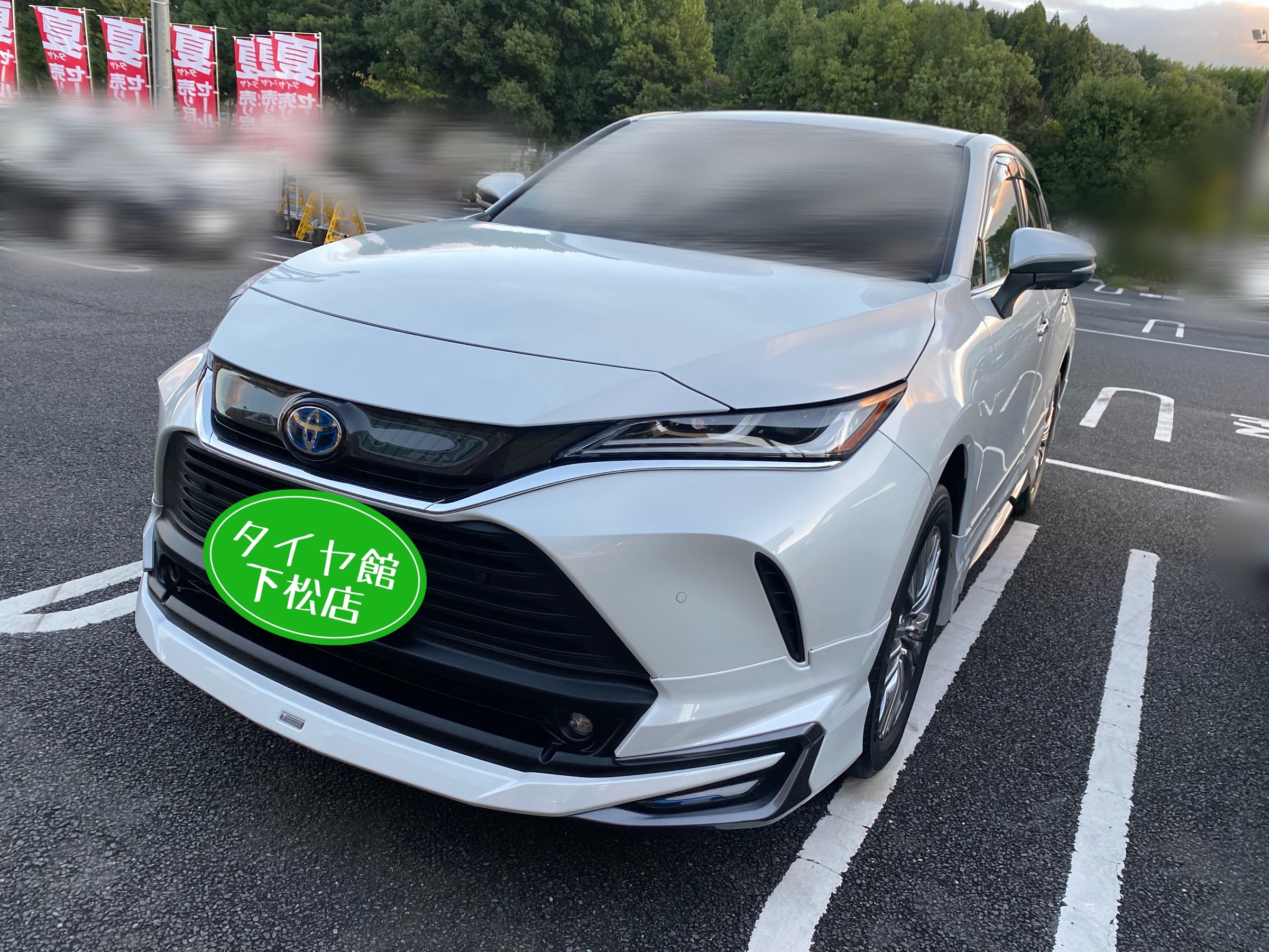 ブリヂストンのスタッドレスタイヤ トヨタ ハリアー アルファード ブリザック 在庫有 トヨタ アルファード(40系)用 225/65R17 102Q