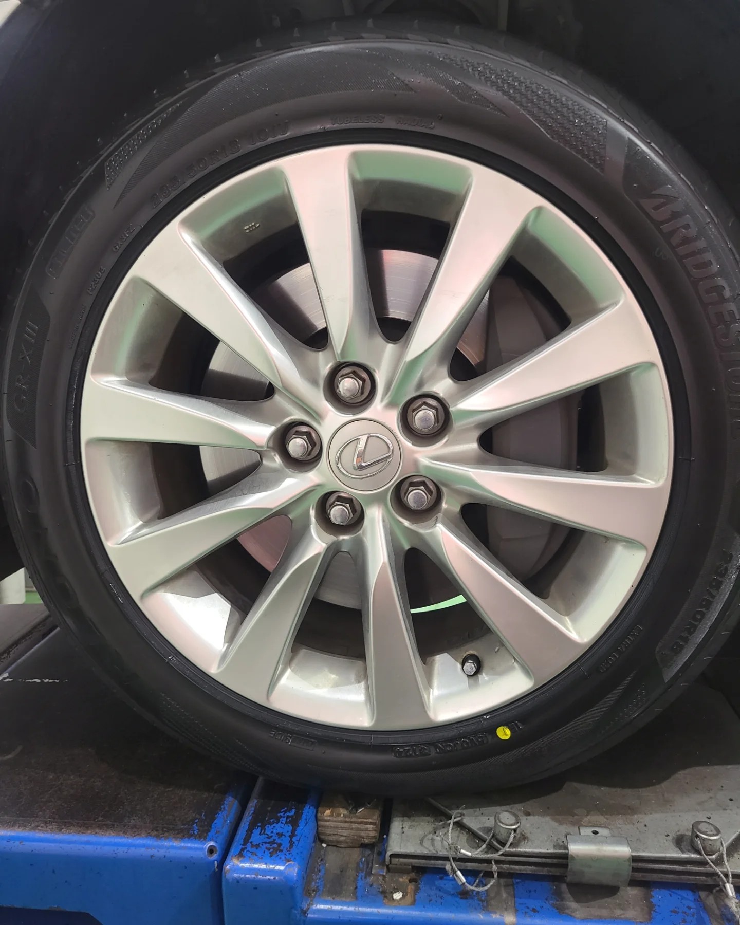 スタッフが撮影しました。