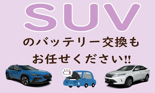 スタッフが撮影加工した画像
