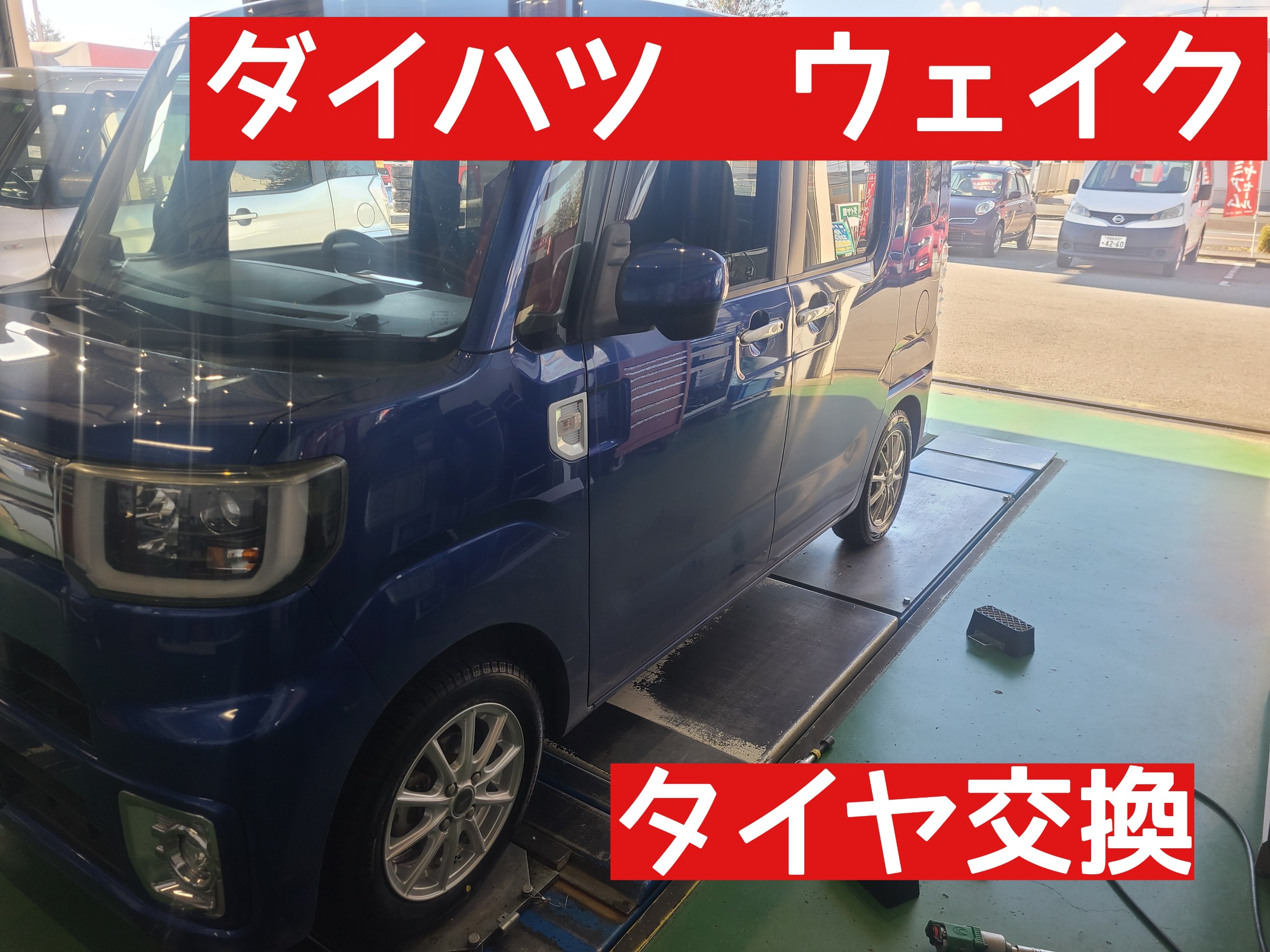 スタッフが撮影しました。