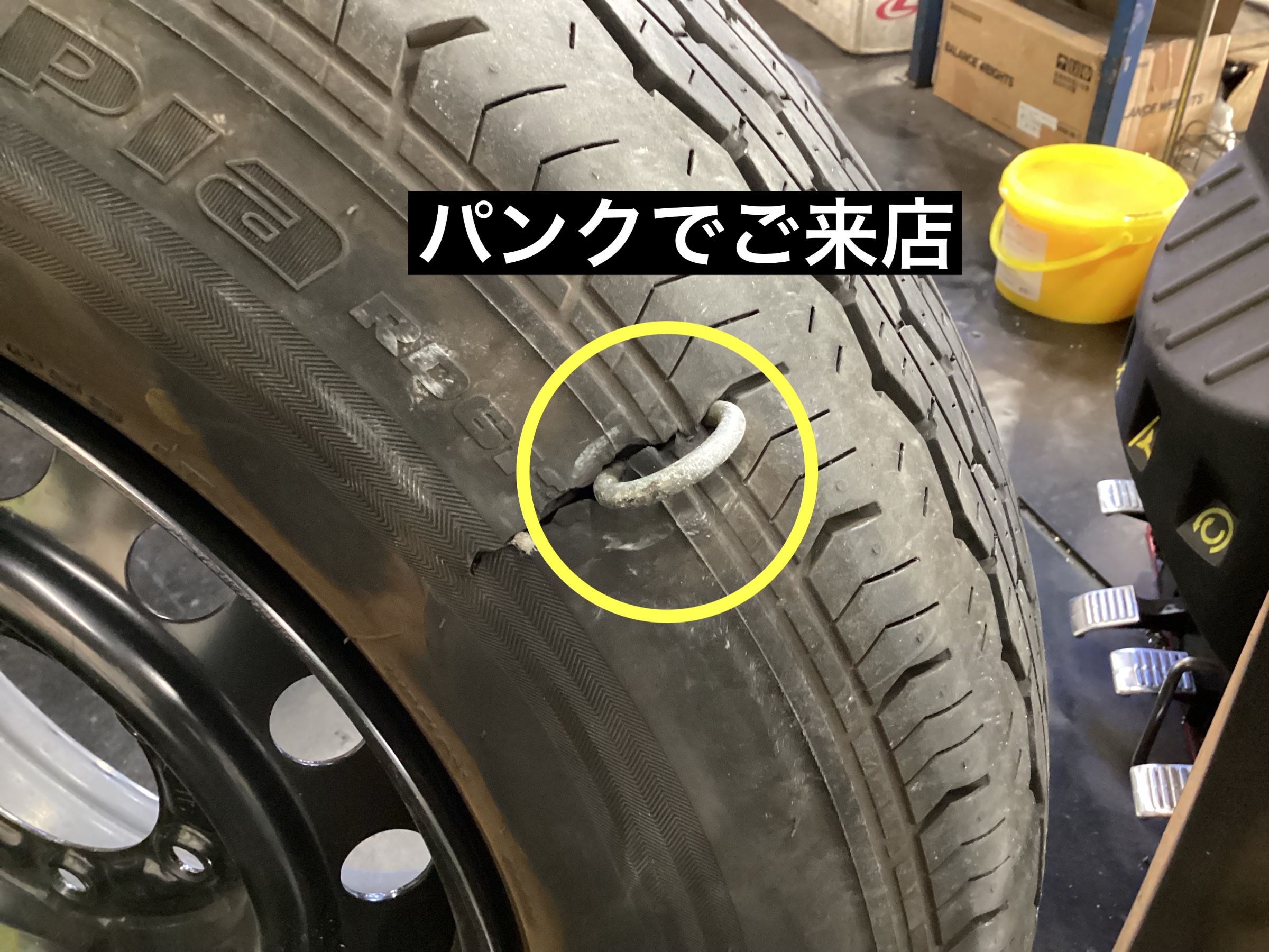 スタッフが撮影