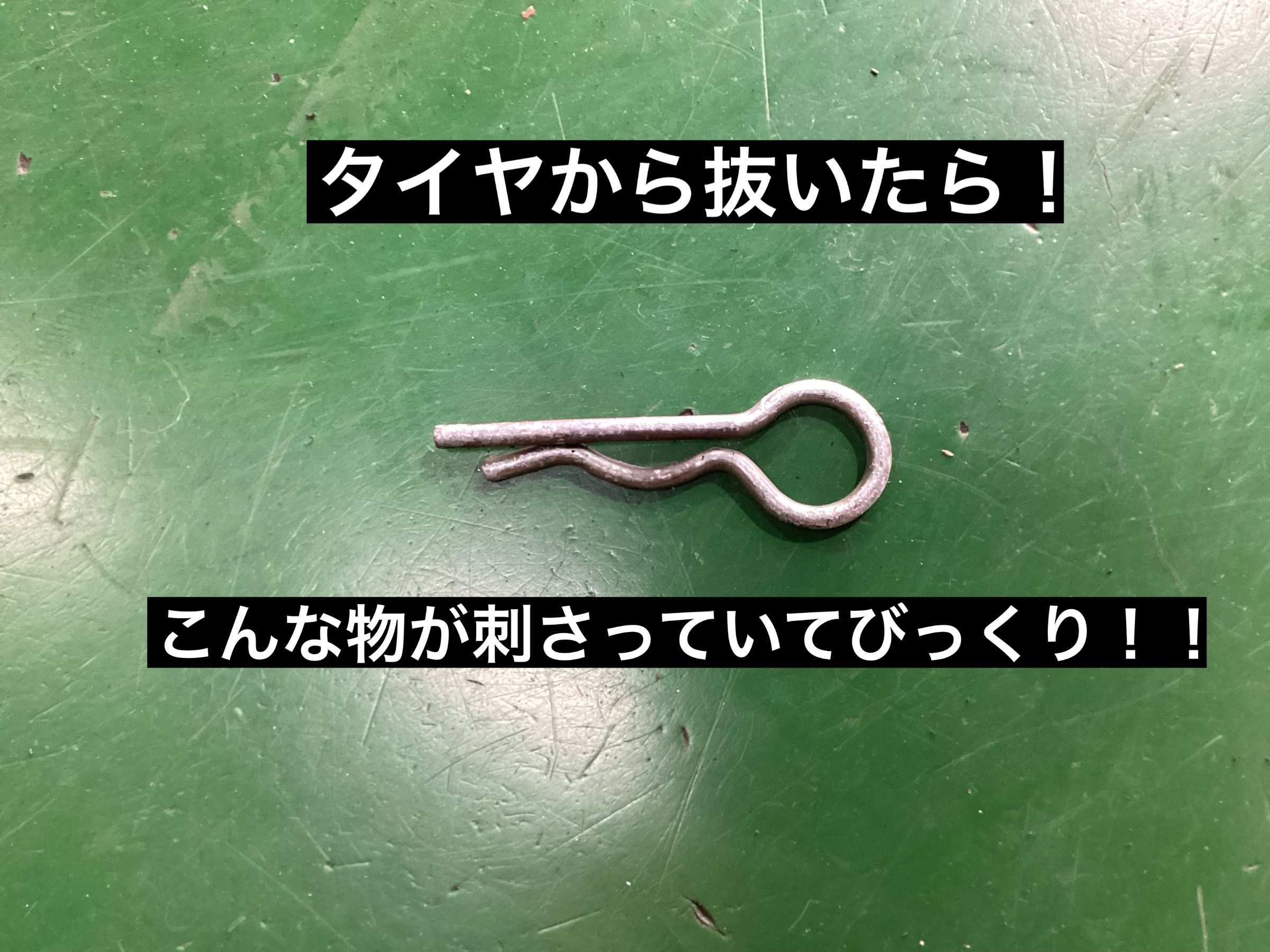 スタッフが撮影