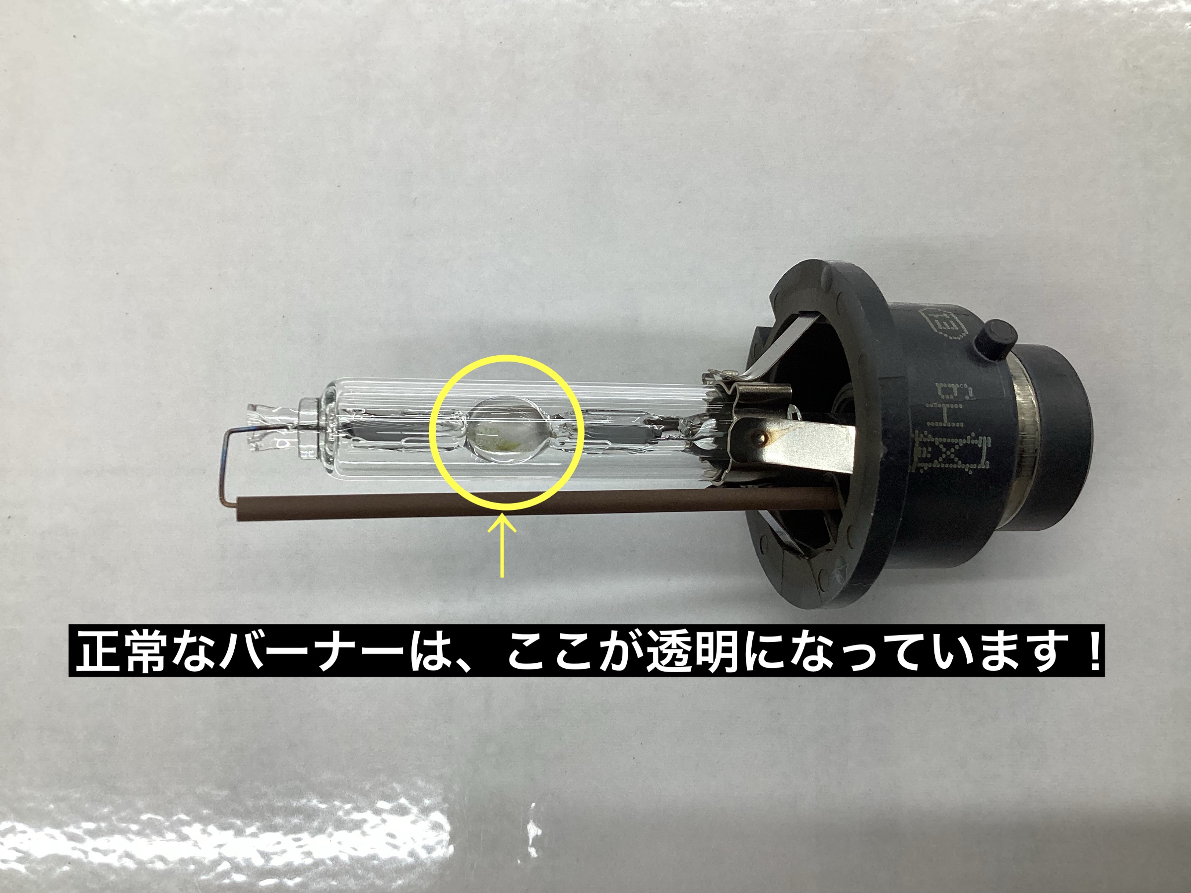 スタッフが撮影
