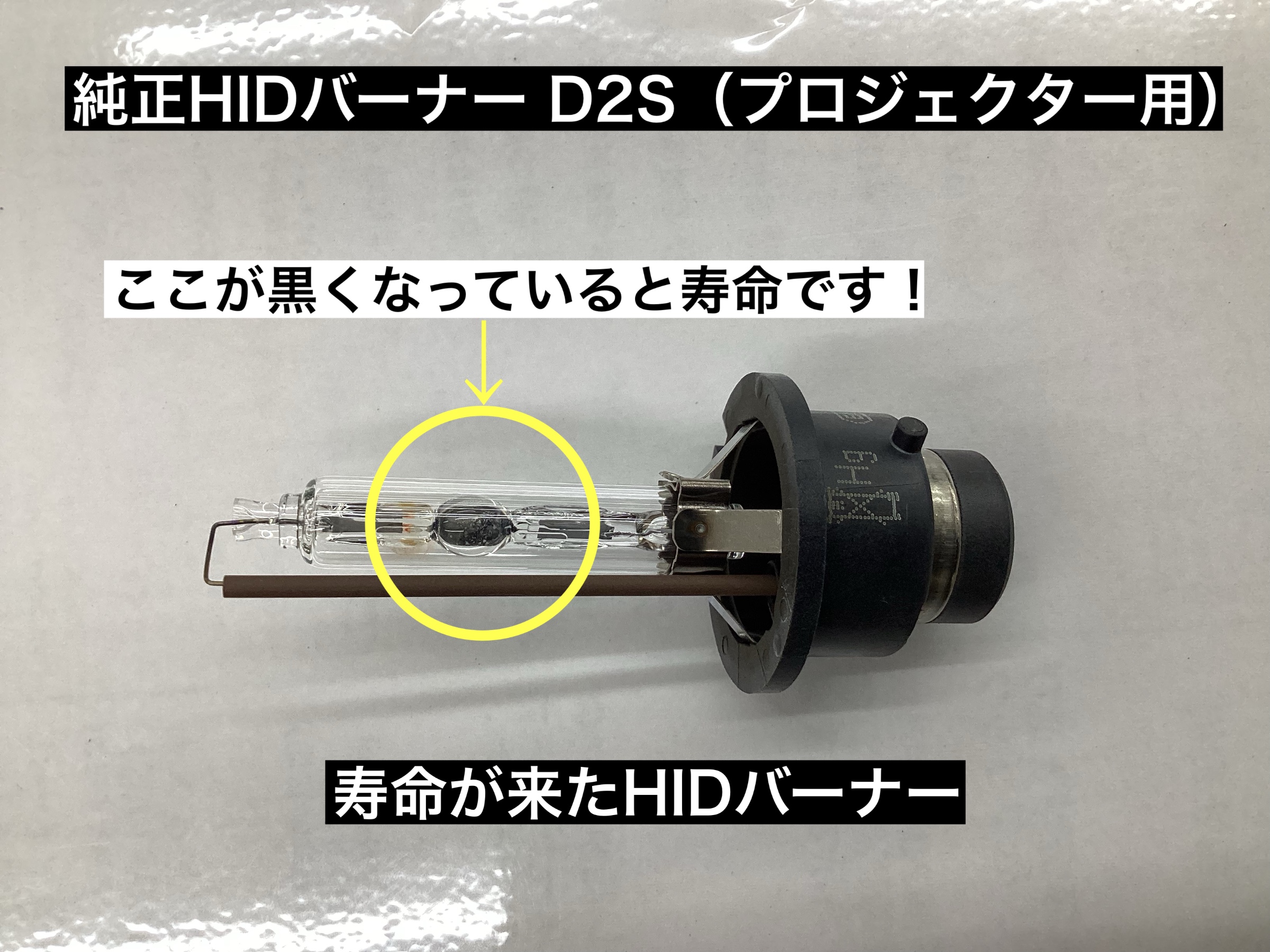 スタッフが撮影