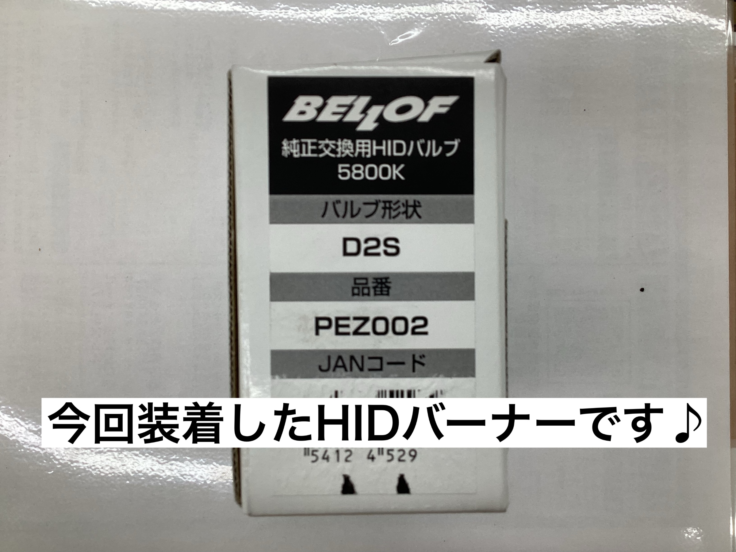 スタッフが撮影