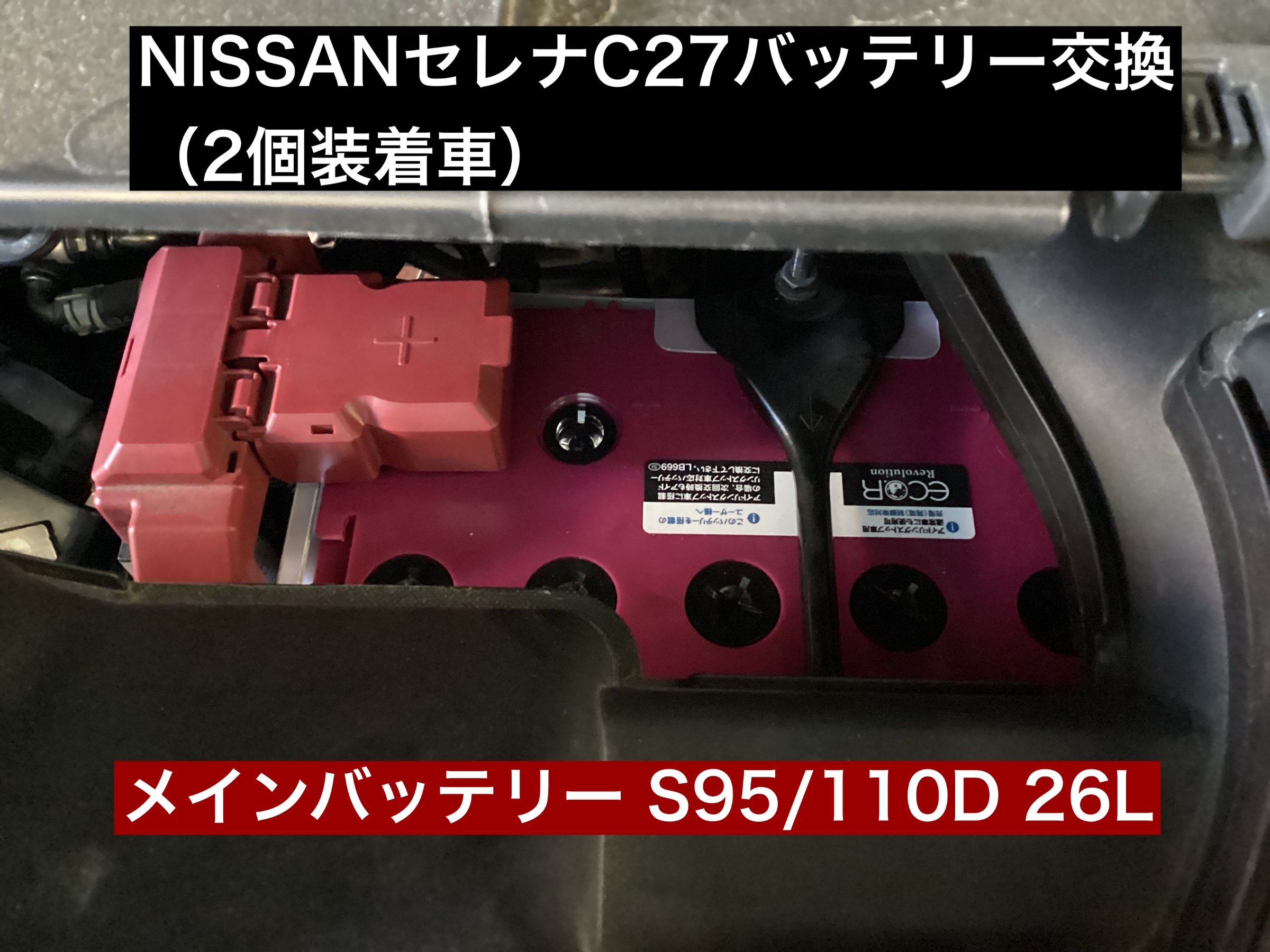 スタッフが撮影