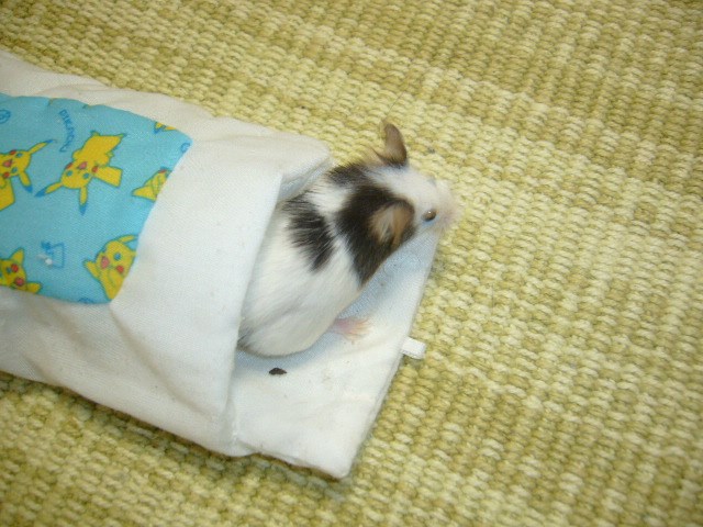 パンダ マウス スタッフ日記 タイヤ館 綾瀬 神奈川県のタイヤ カー用品ショップ タイヤからはじまる トータルカーメンテナンス タイヤ館グループ