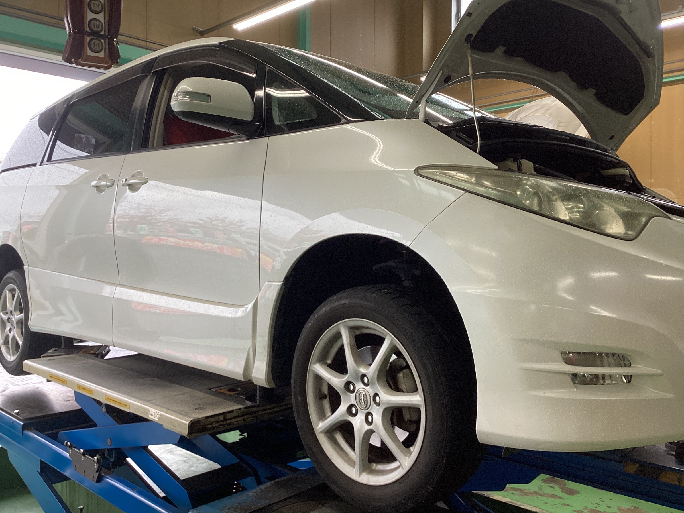 スタッフ撮影分