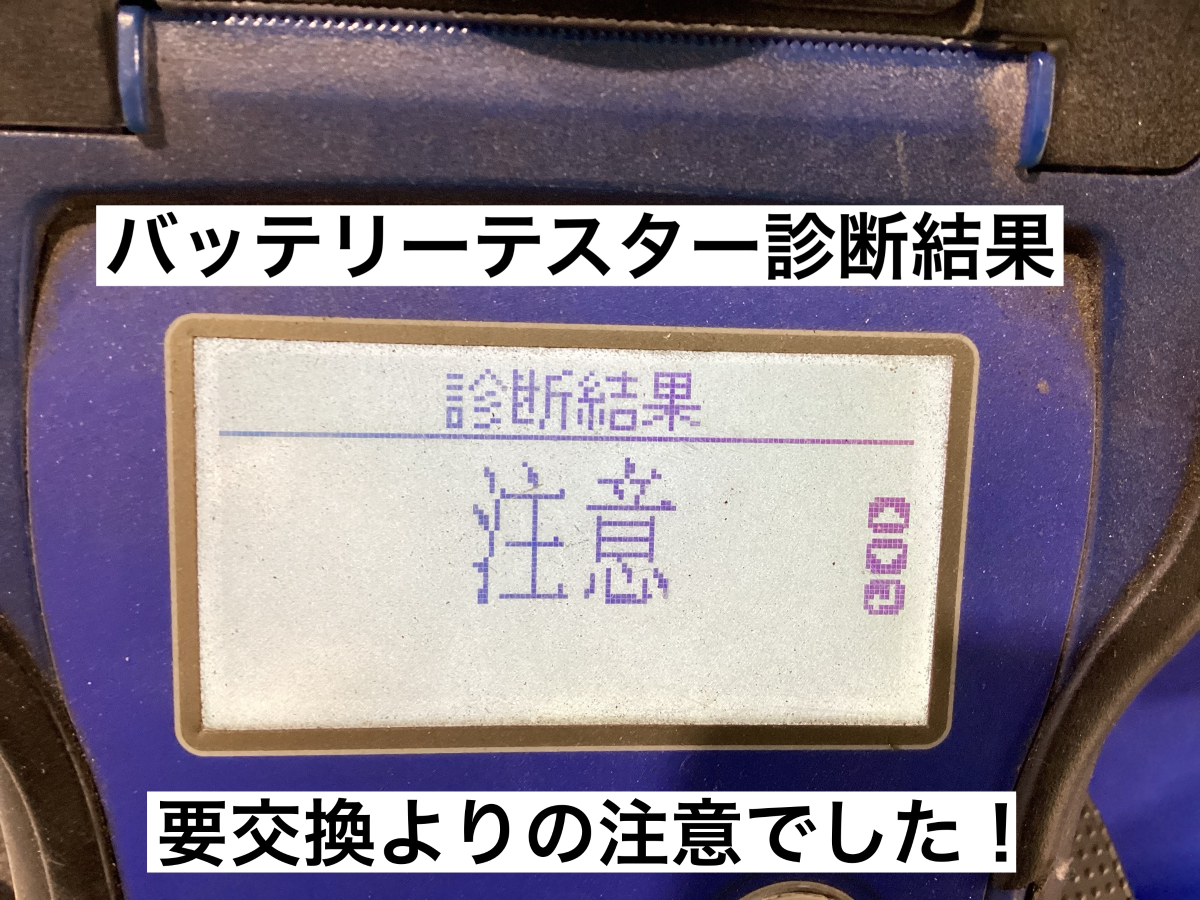 スタッフが撮影