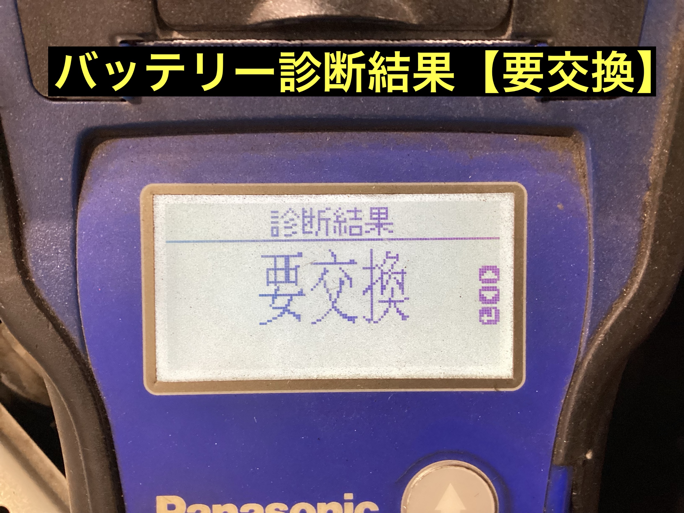 スタッフが撮影