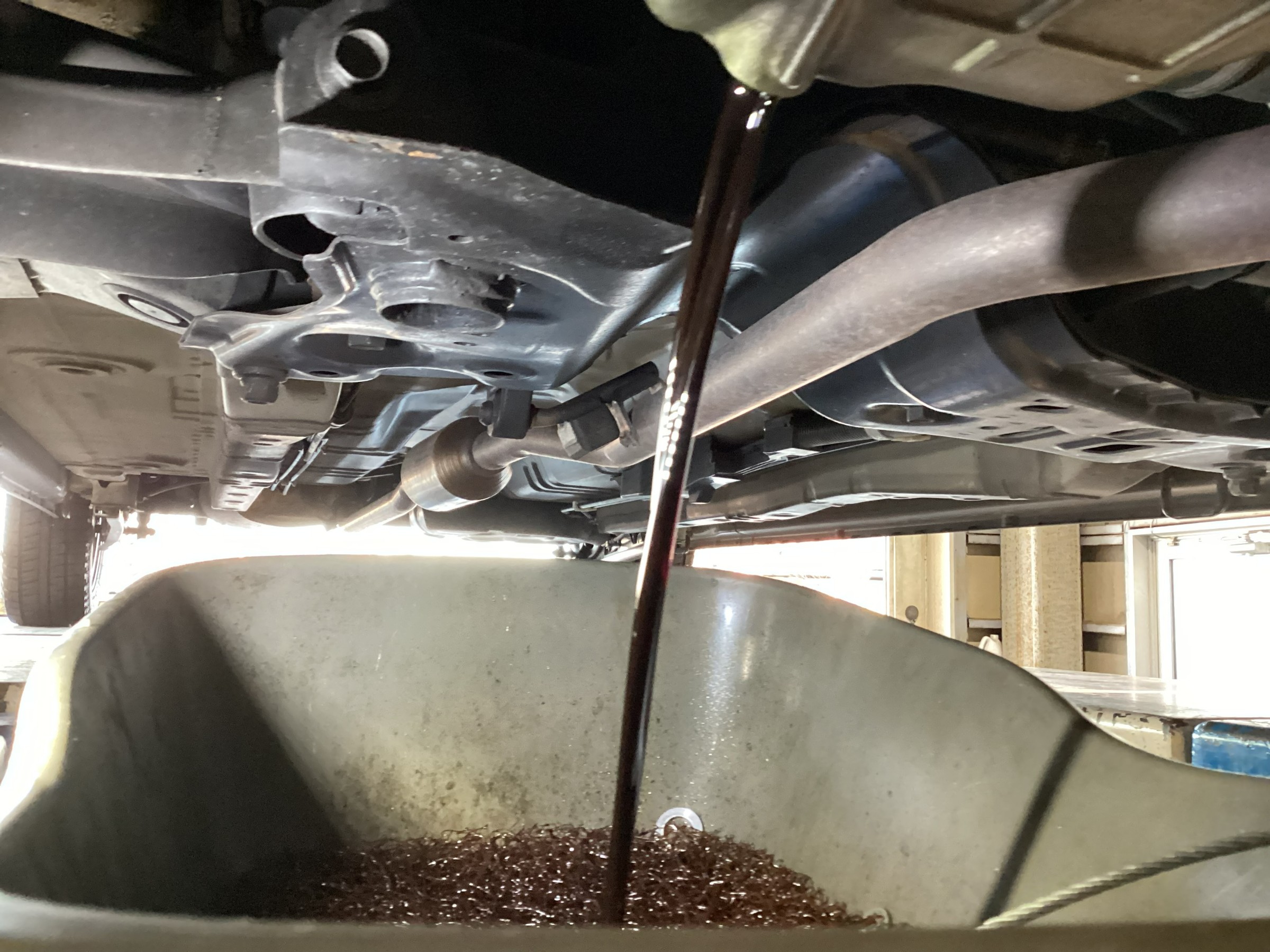 スタッフが撮影した画像です
